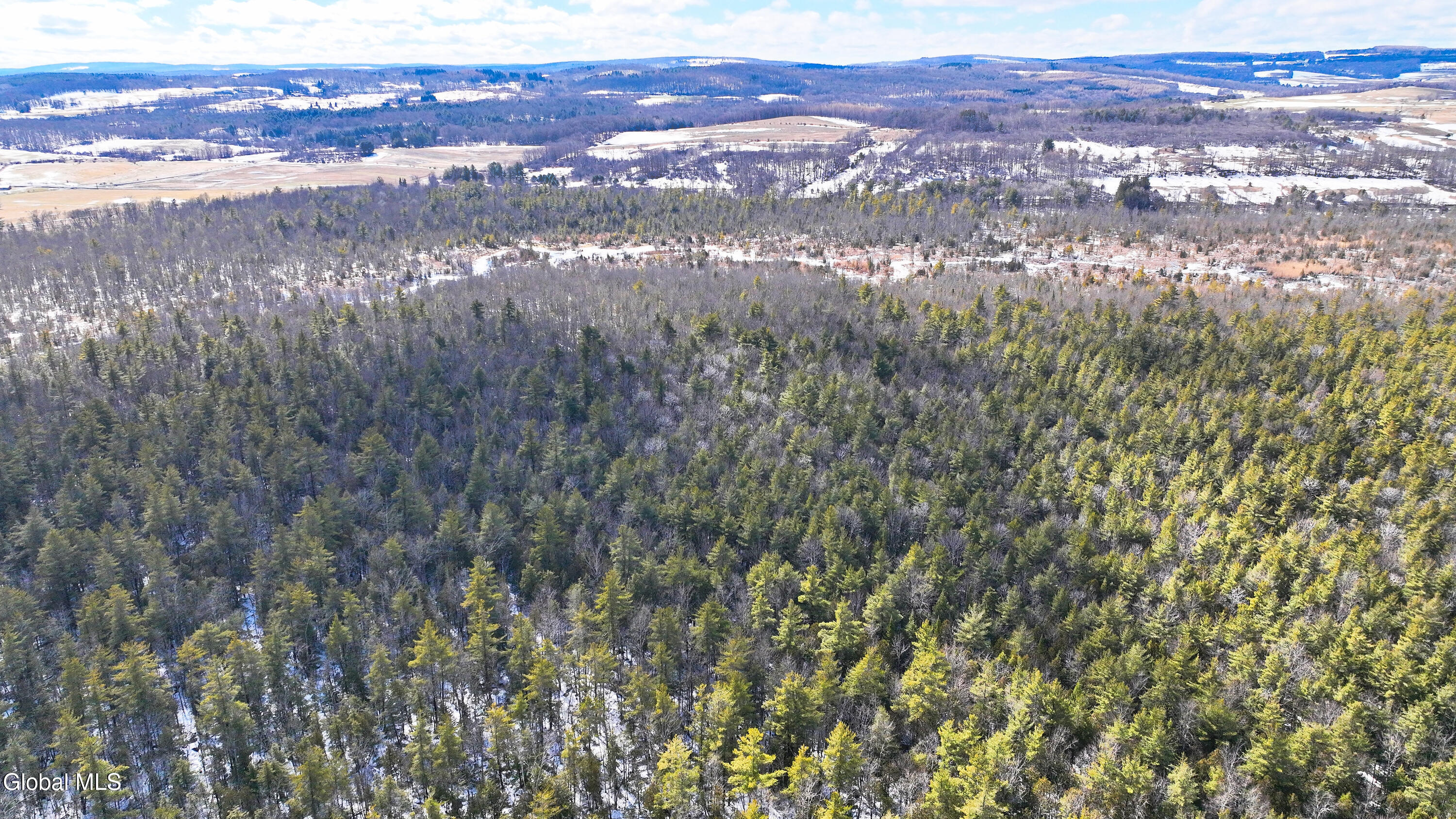 L2.5 Swamp Road Morrisville, NY 13408 - Photo 29 of 51 Swamp Rd Southern Parcel-7