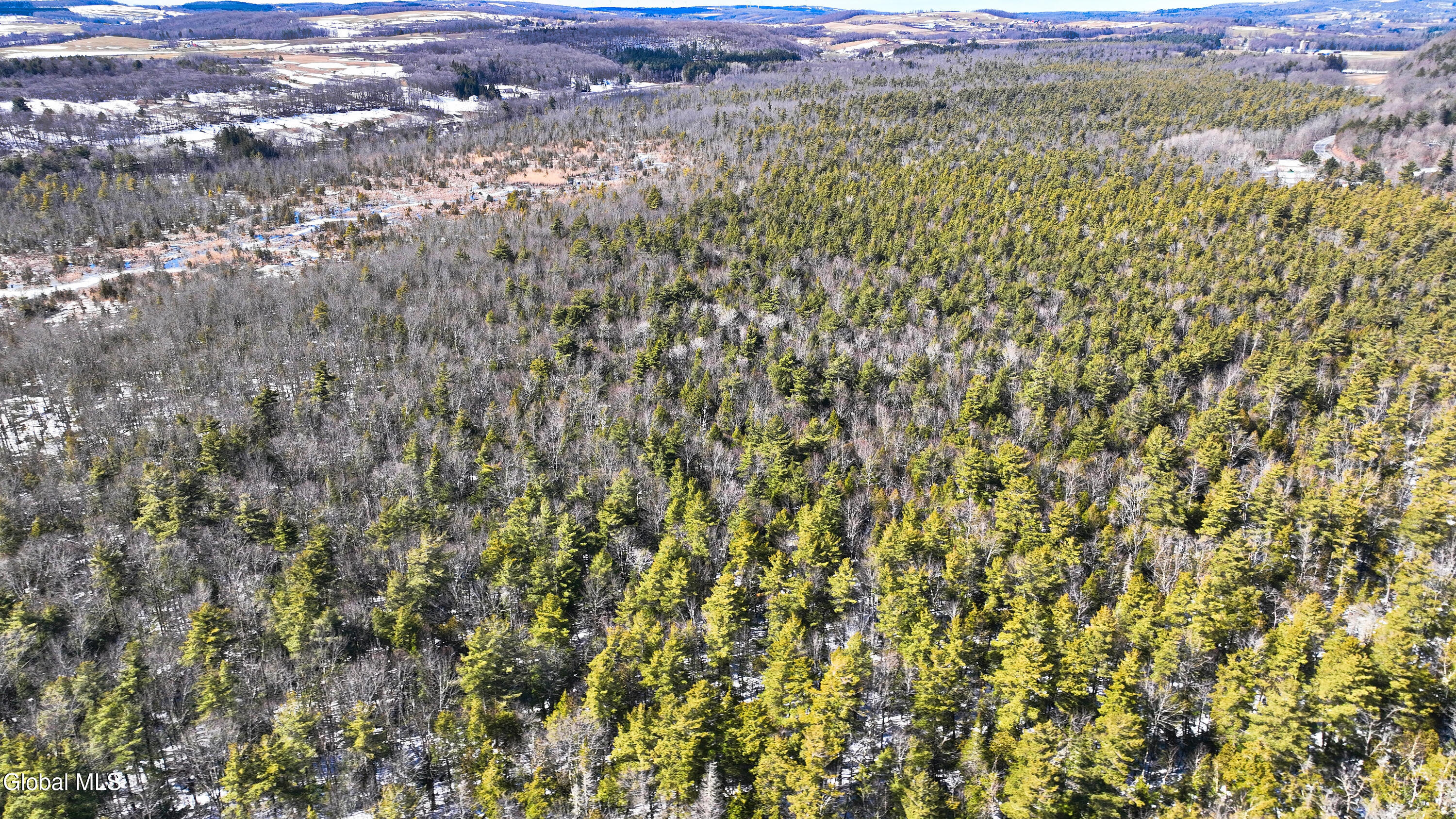 L2.5 Swamp Road Morrisville, NY 13408 - Photo 30 of 51 Swamp Rd Southern Parcel-28 (1)