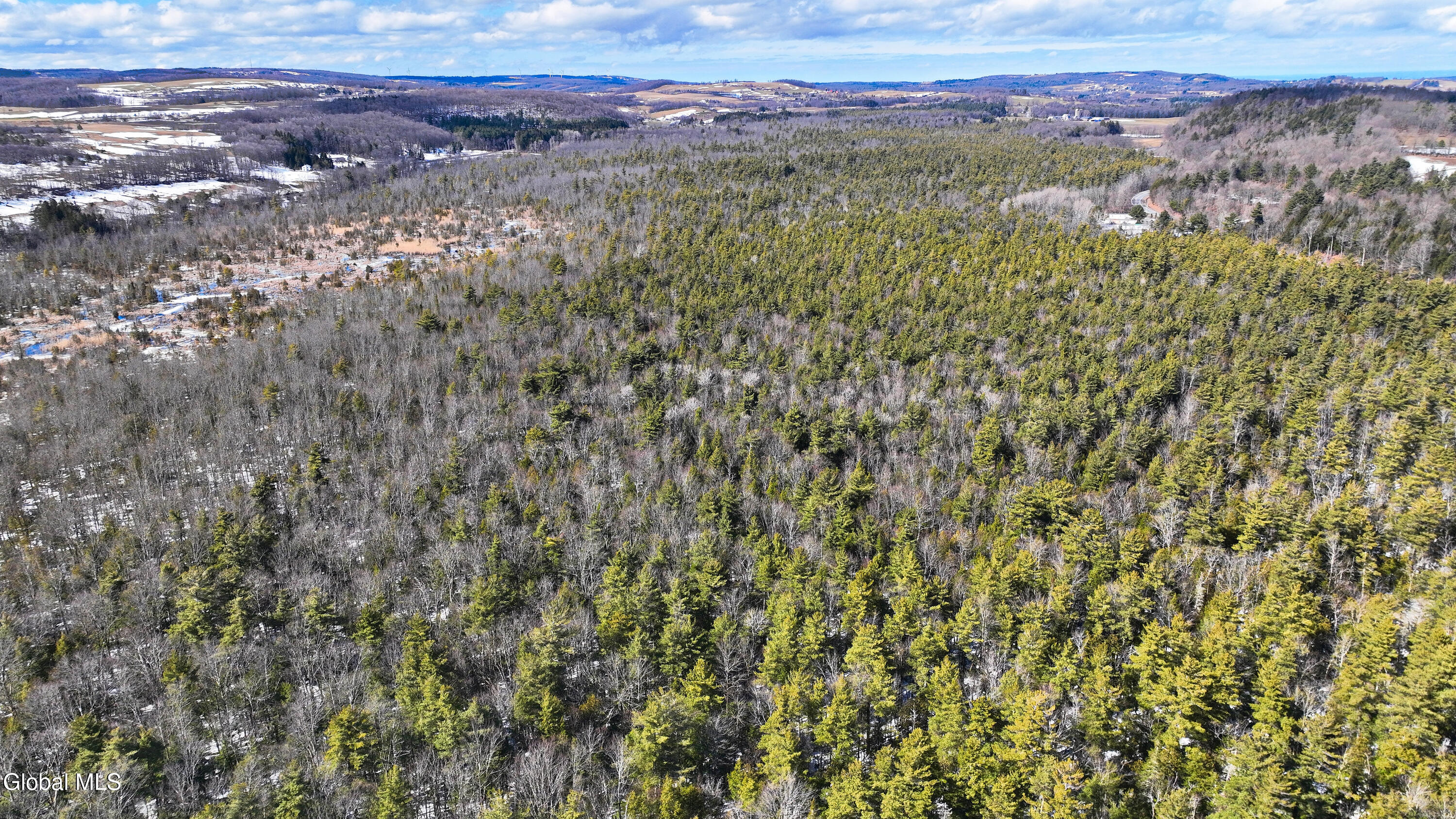 L2.5 Swamp Road Morrisville, NY 13408 - Photo 31 of 51 Swamp Rd Southern Parcel-27