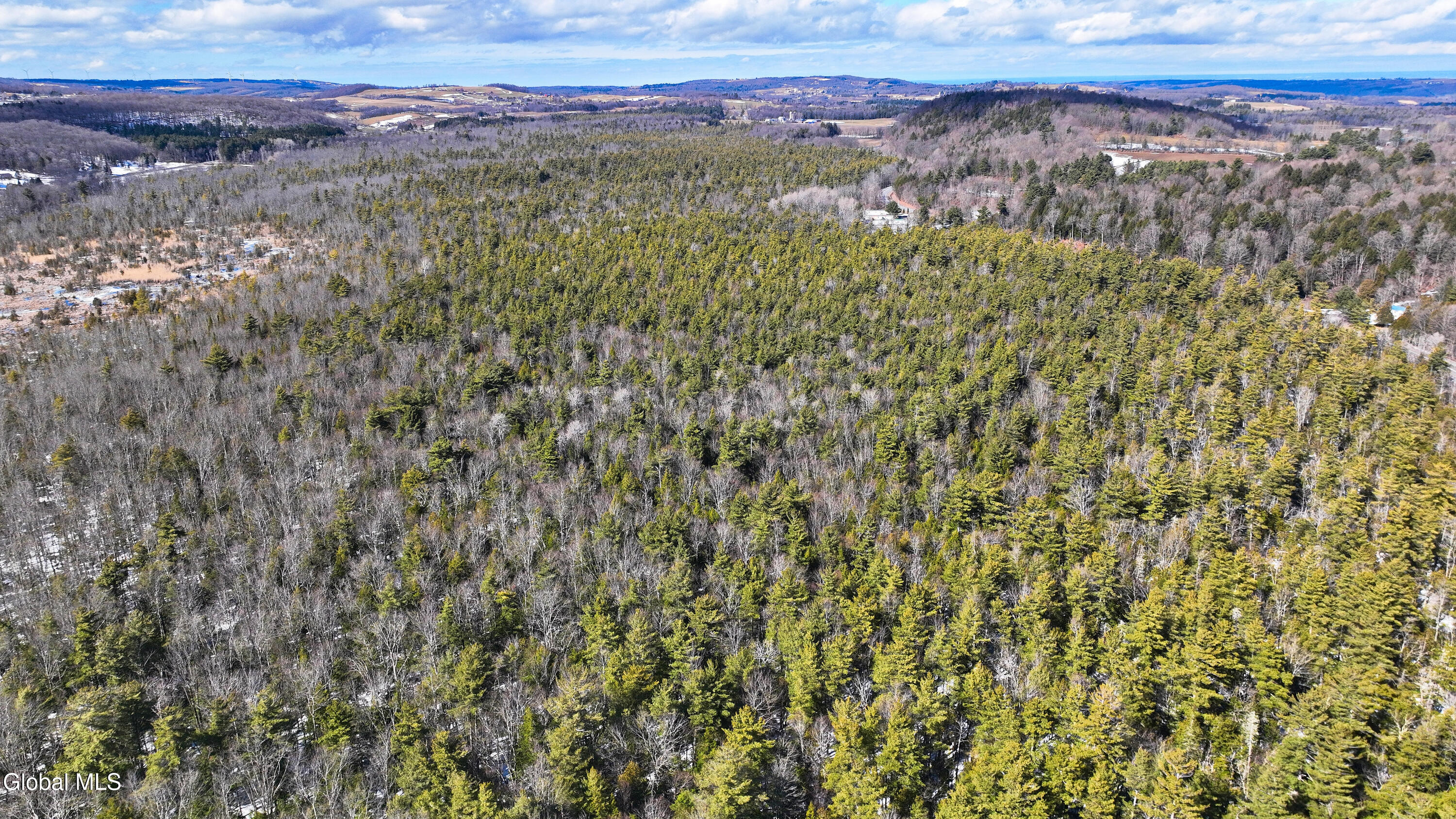 L2.5 Swamp Road Morrisville, NY 13408 - Photo 32 of 51 Swamp Rd Southern Parcel-26