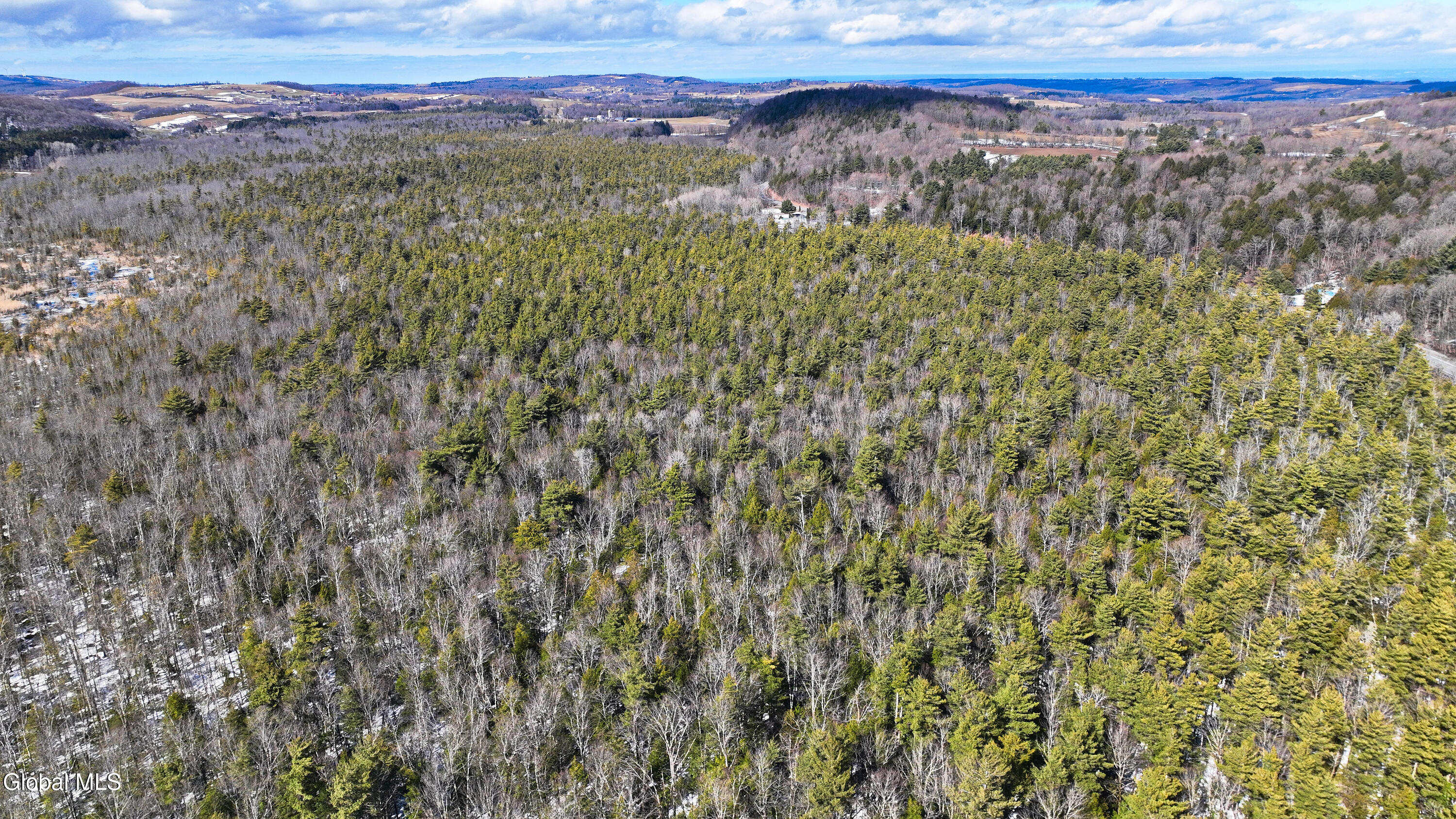 L2.5 Swamp Road Morrisville, NY 13408 - Photo 33 of 51 Swamp Rd Southern Parcel-25