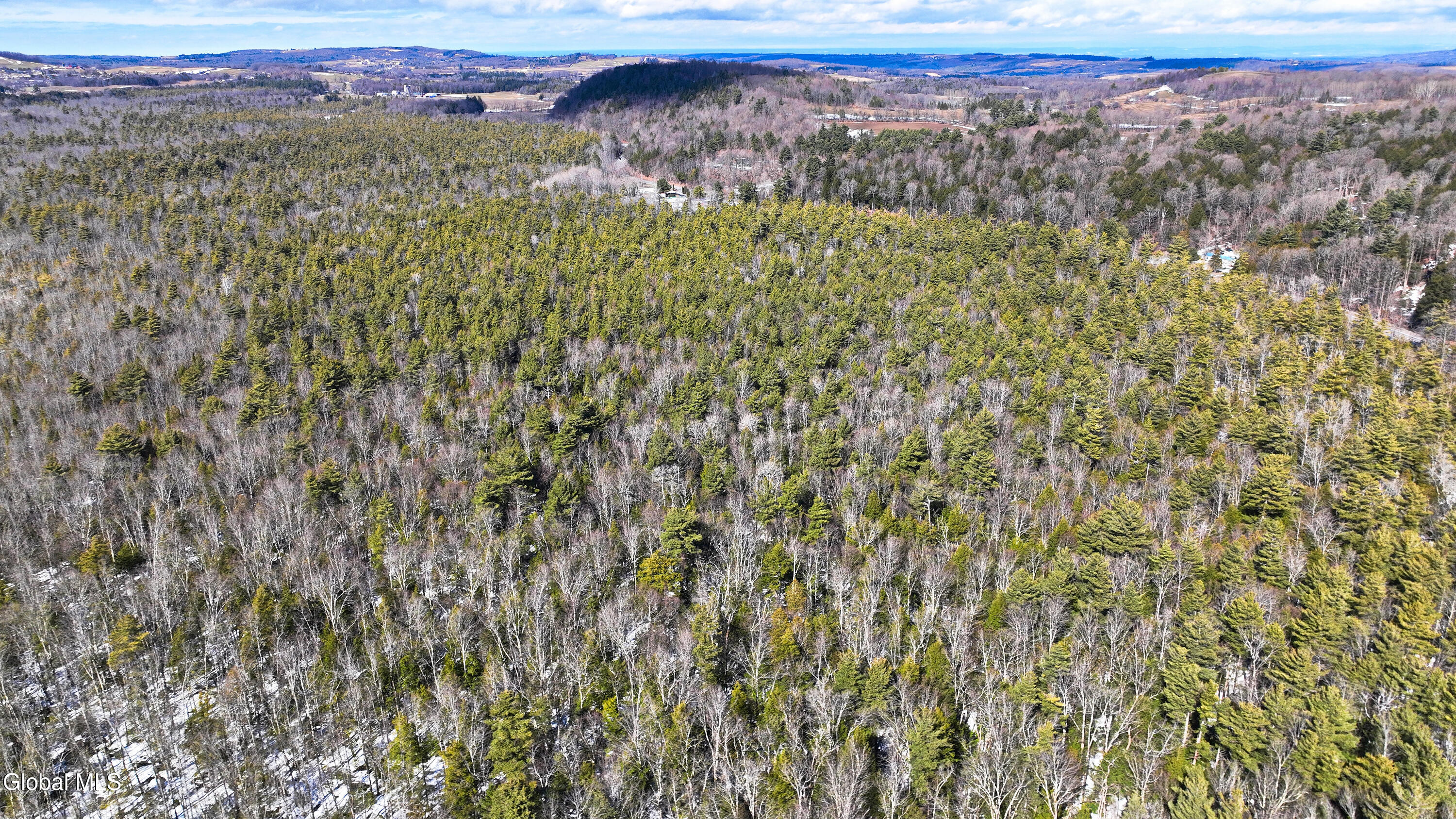 L2.5 Swamp Road Morrisville, NY 13408 - Photo 34 of 51 Swamp Rd Southern Parcel-24