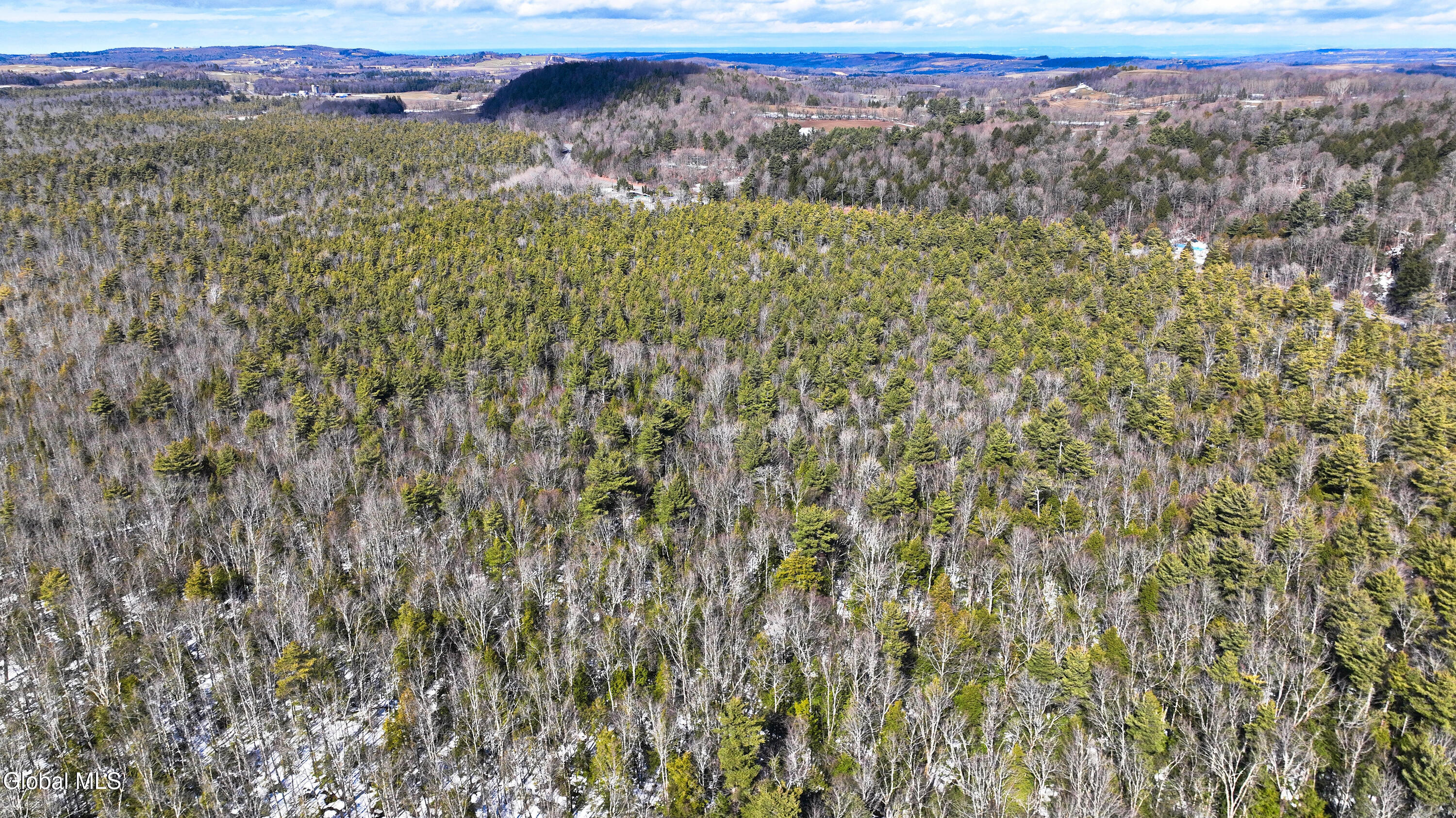 L2.5 Swamp Road Morrisville, NY 13408 - Photo 35 of 51 Swamp Rd Southern Parcel-23