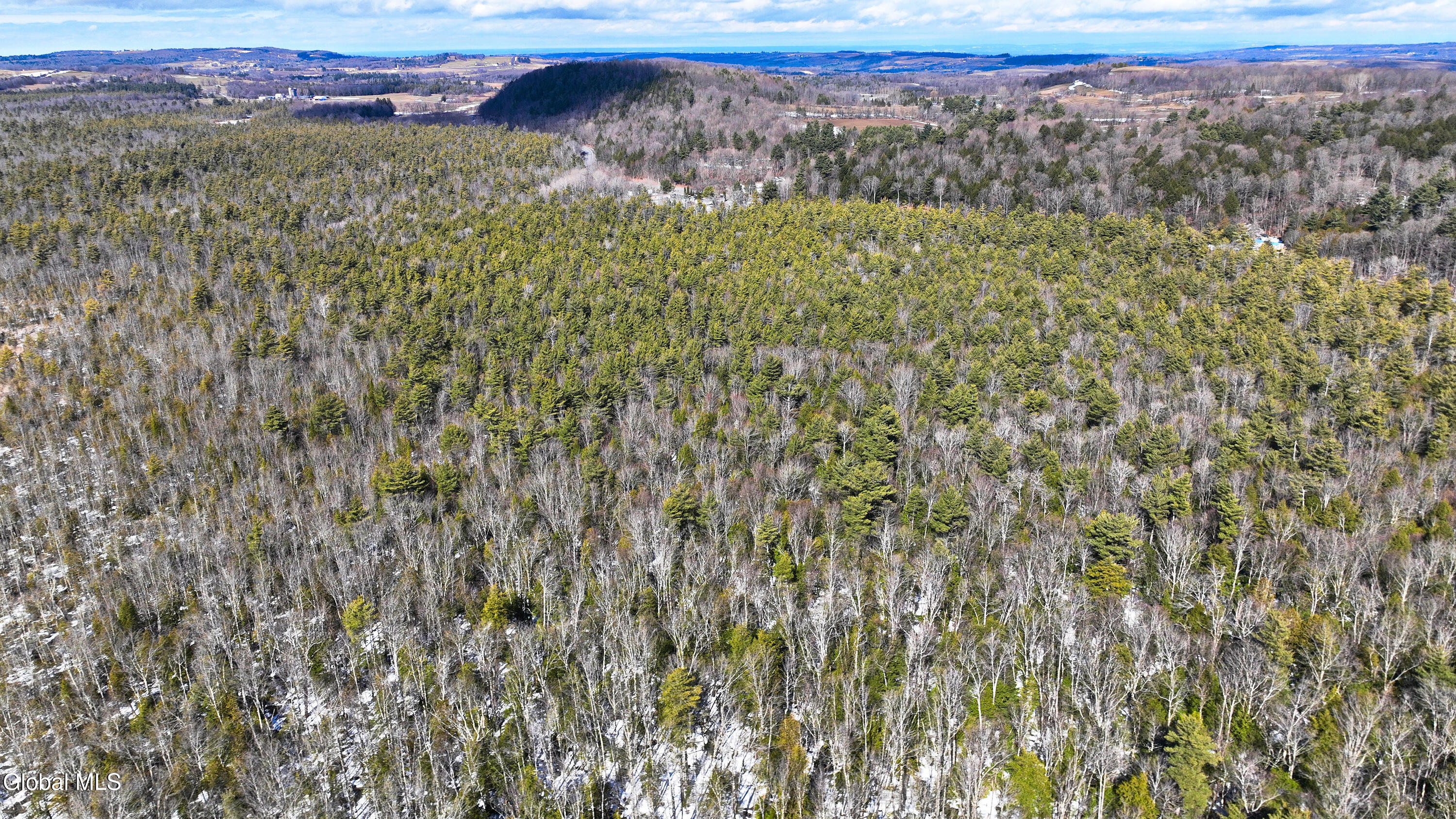 L2.5 Swamp Road Morrisville, NY 13408 - Photo 36 of 51 Swamp Rd Southern Parcel-22