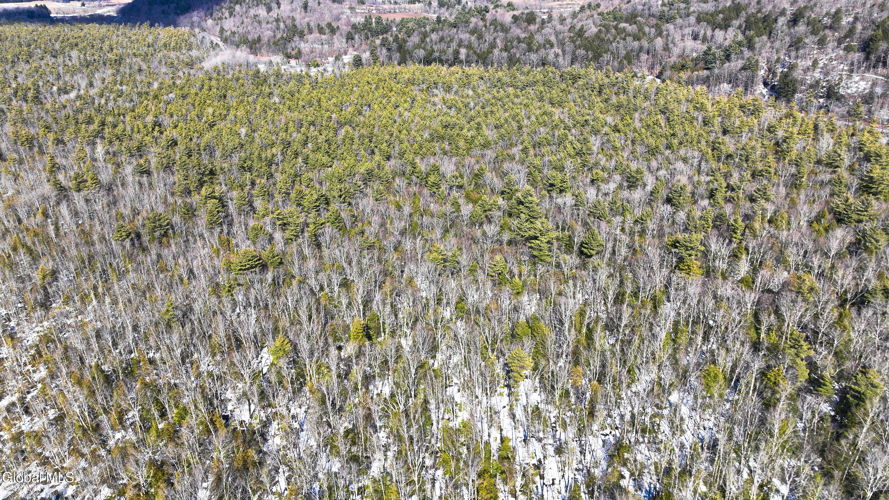 L2.5 Swamp Road Morrisville, NY 13408 - Photo 37 of 51 Swamp Rd Southern Parcel-21