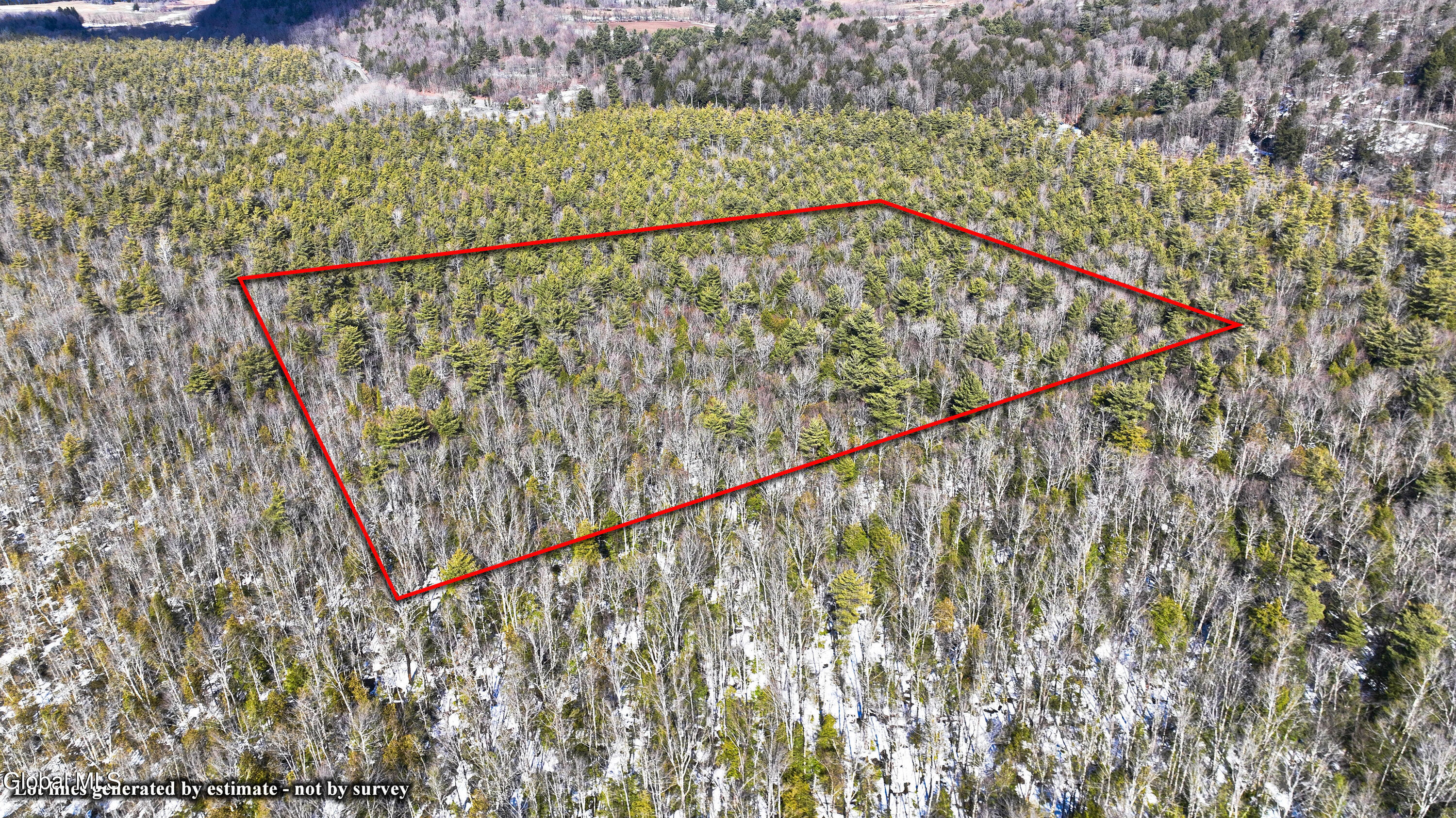 L2.5 Swamp Road Morrisville, NY 13408 - Photo 38 of 51 Swamp Rd Southern Parcel-21- Lot lines