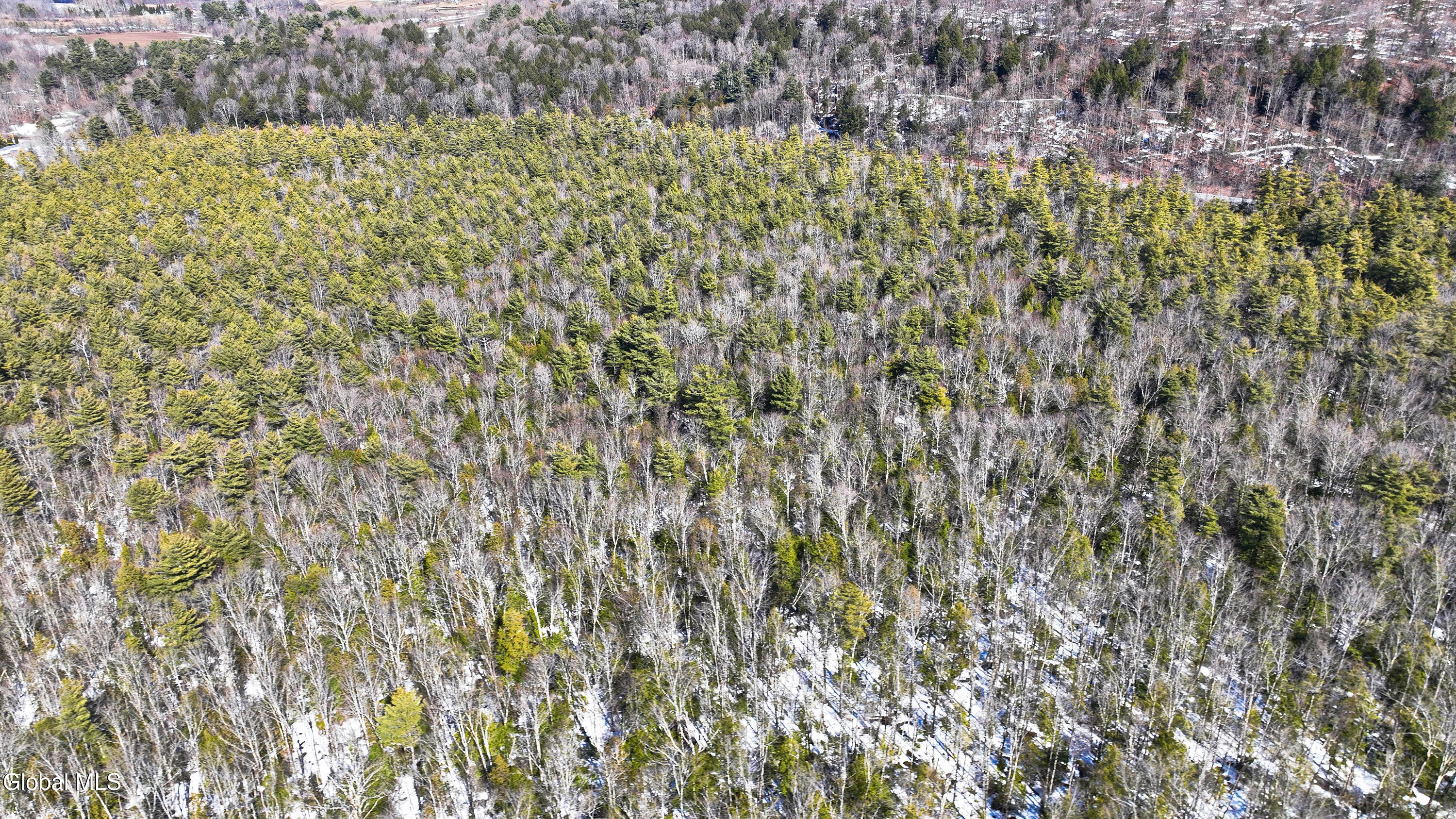 L2.5 Swamp Road Morrisville, NY 13408 - Photo 39 of 51 Swamp Rd Southern Parcel-20