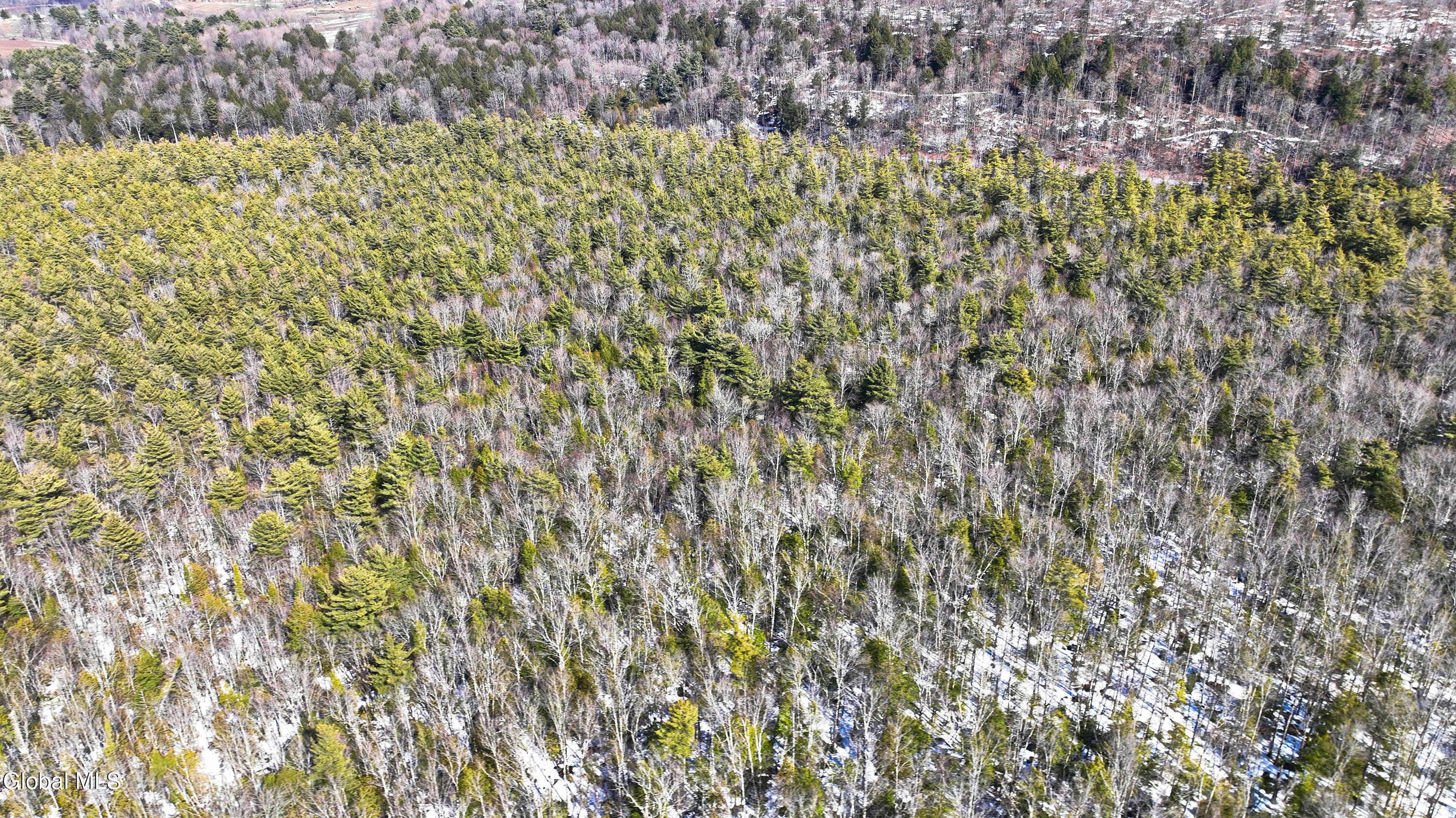 L2.5 Swamp Road Morrisville, NY 13408 - Photo 40 of 51 Swamp Rd Southern Parcel-19