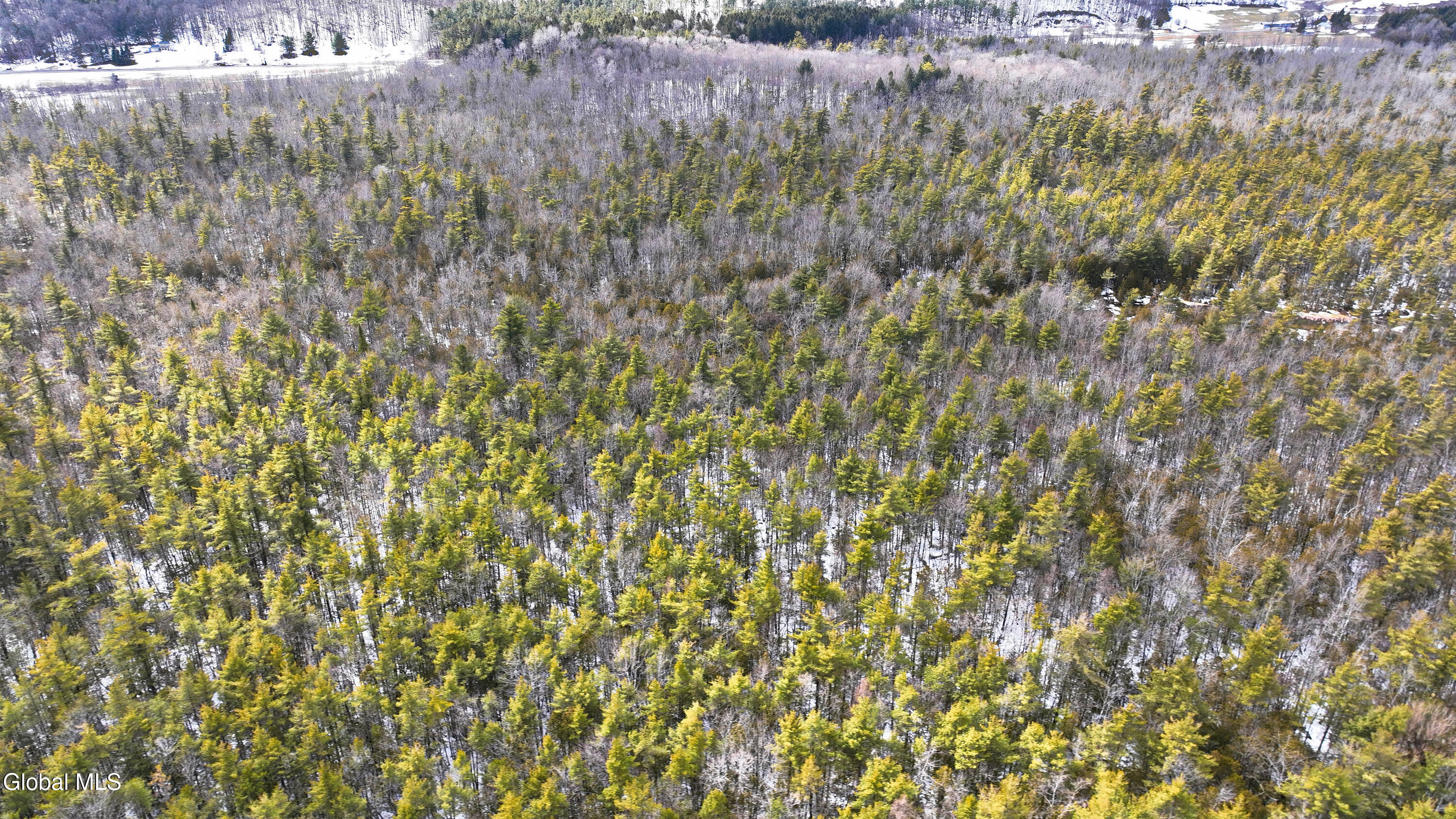 L2.5 Swamp Road Morrisville, NY 13408 - Photo 4 of 51 Swamp Rd Northern Parcel-27