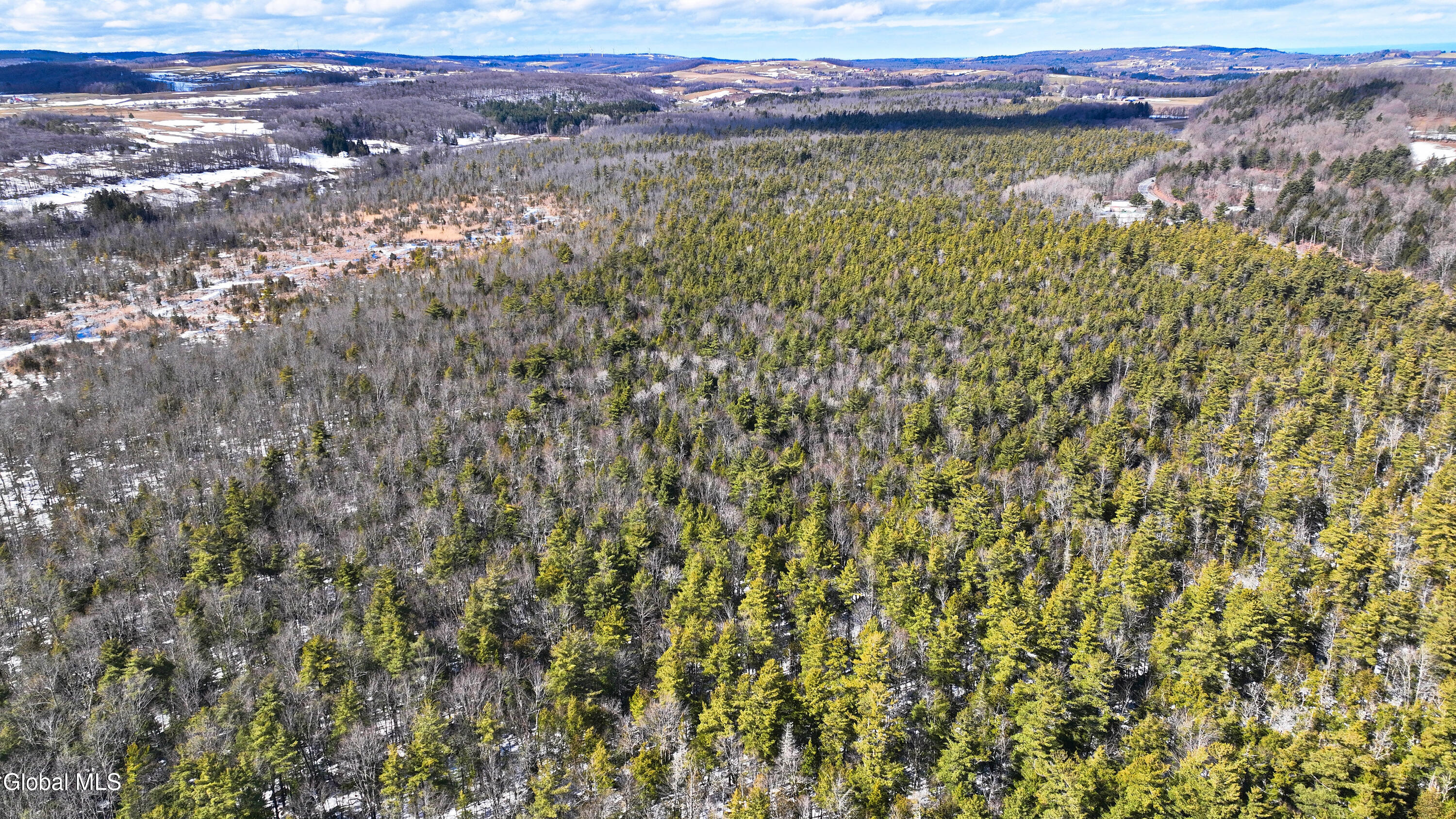 L2.5 Swamp Road Morrisville, NY 13408 - Photo 41 of 51 Swamp Rd Southern Parcel-14