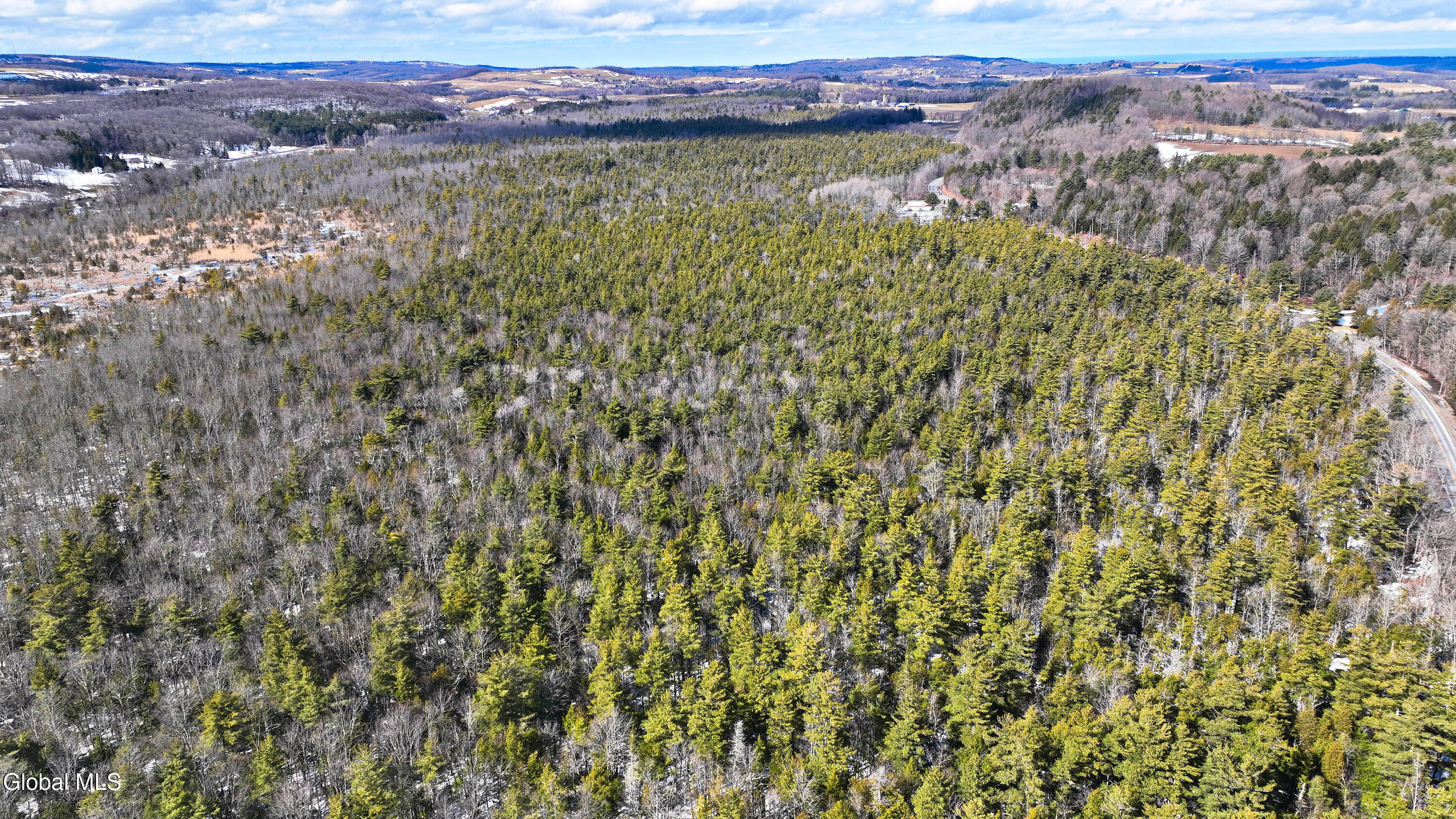 L2.5 Swamp Road Morrisville, NY 13408 - Photo 42 of 51 Swamp Rd Southern Parcel-13