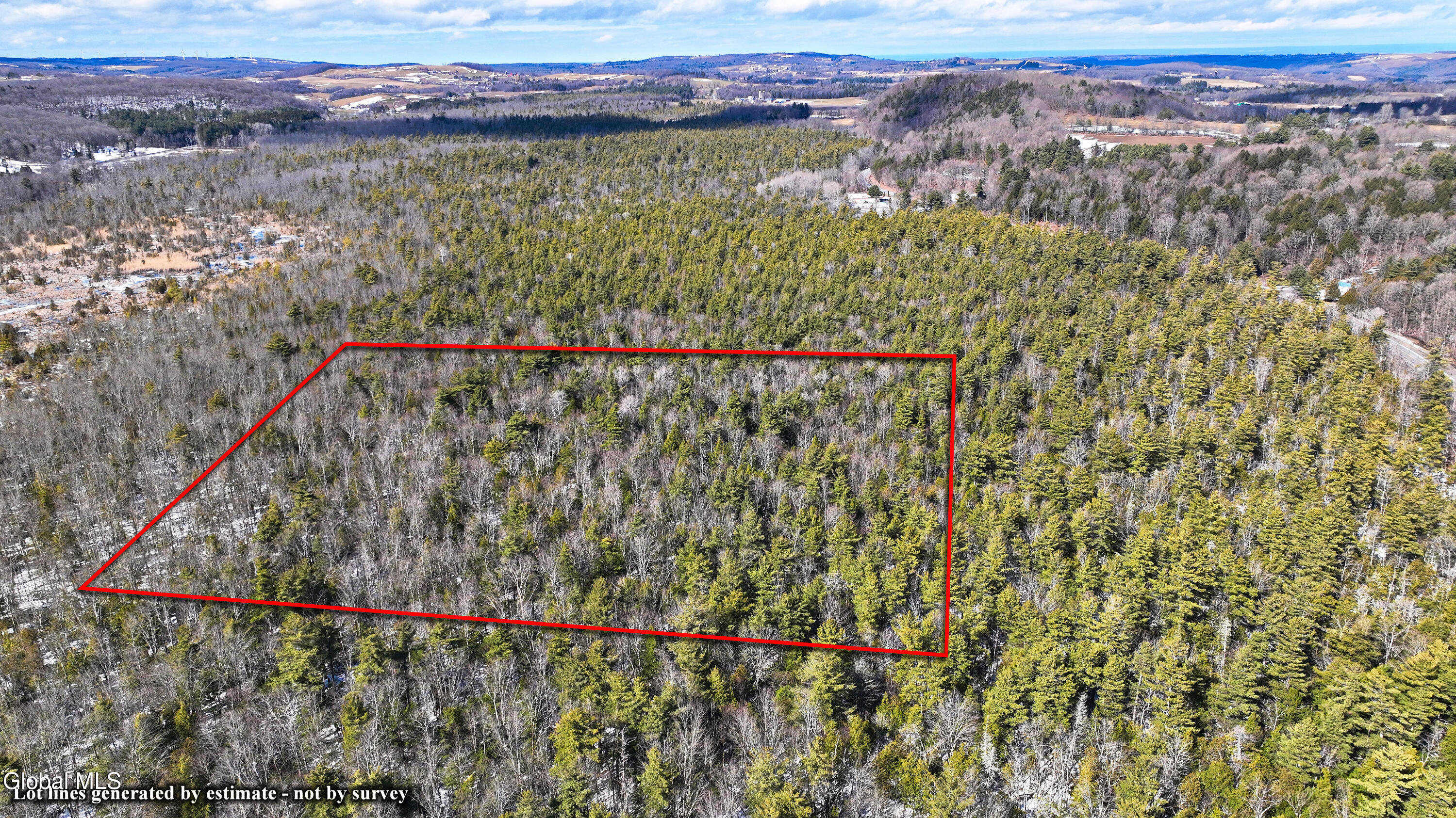 L2.5 Swamp Road Morrisville, NY 13408 - Photo 43 of 51 Swamp Rd Southern Parcel-12 - Land Lines