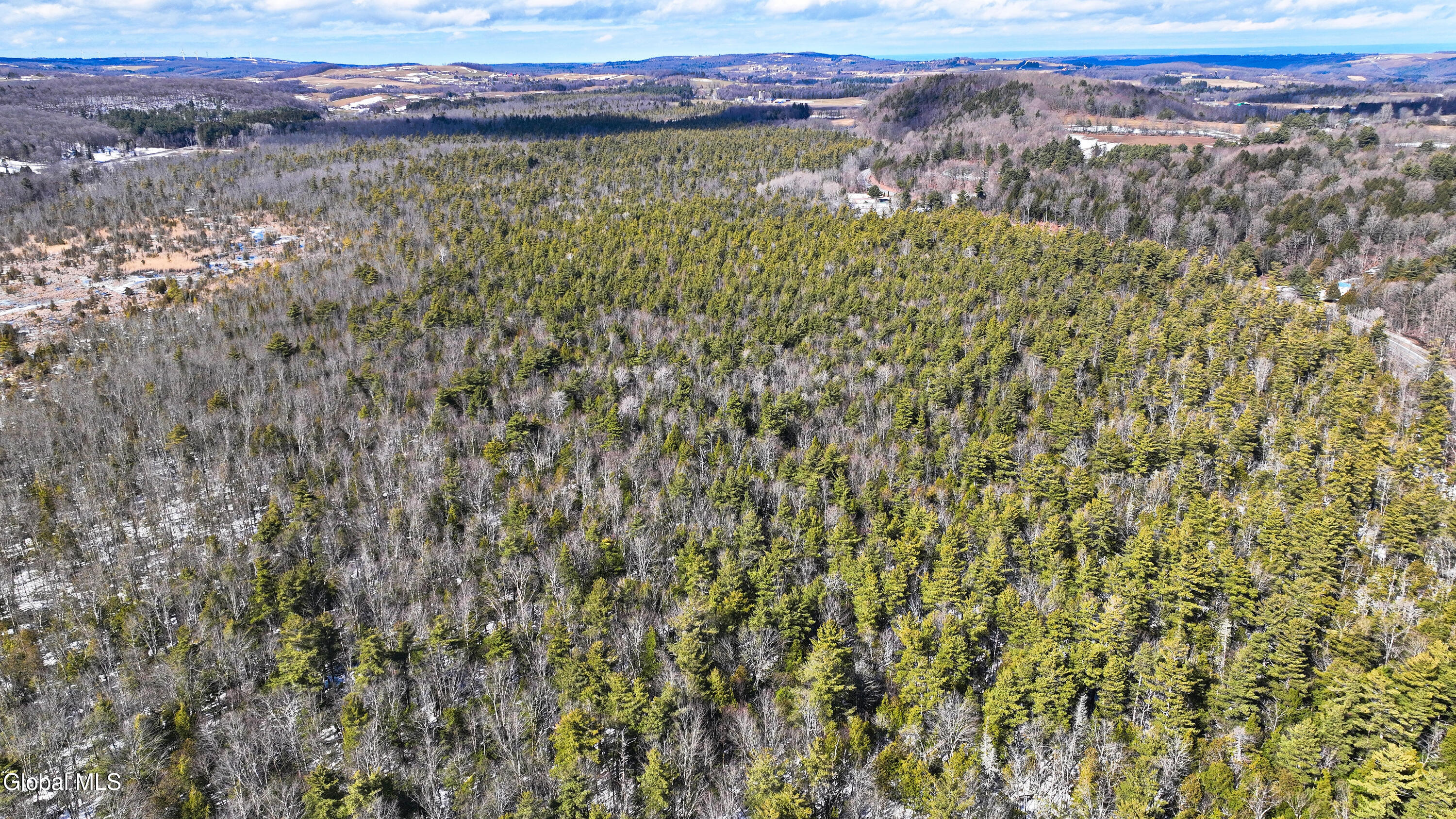 L2.5 Swamp Road Morrisville, NY 13408 - Photo 44 of 51 Swamp Rd Southern Parcel-12