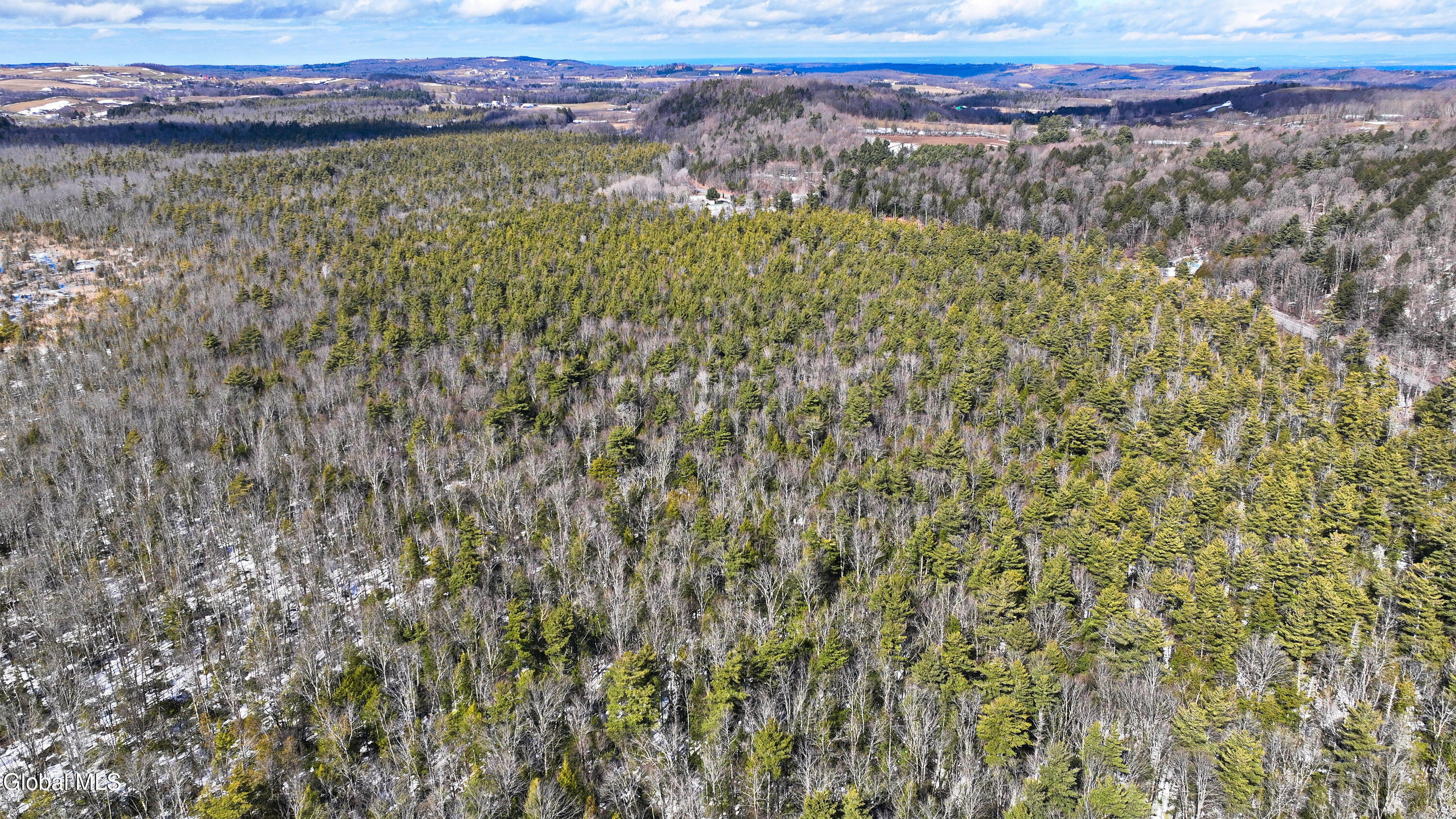 L2.5 Swamp Road Morrisville, NY 13408 - Photo 45 of 51 Swamp Rd Southern Parcel-11