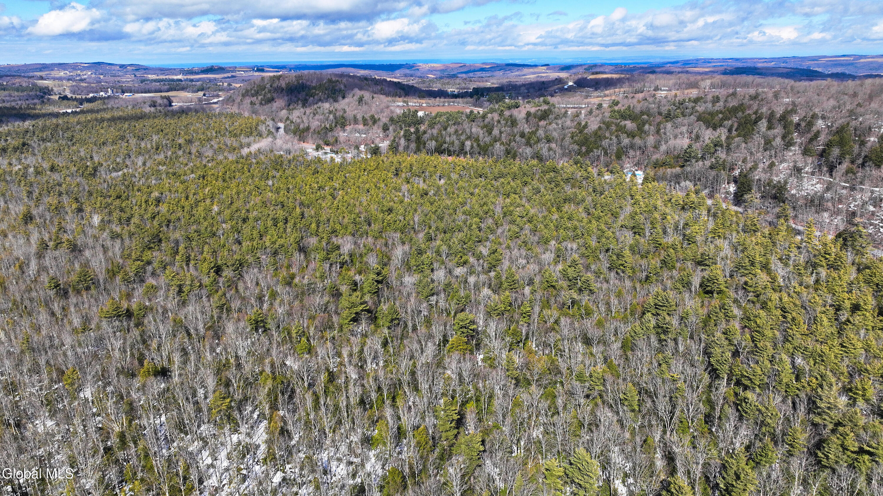 L2.5 Swamp Road Morrisville, NY 13408 - Photo 46 of 51 Swamp Rd Southern Parcel-10