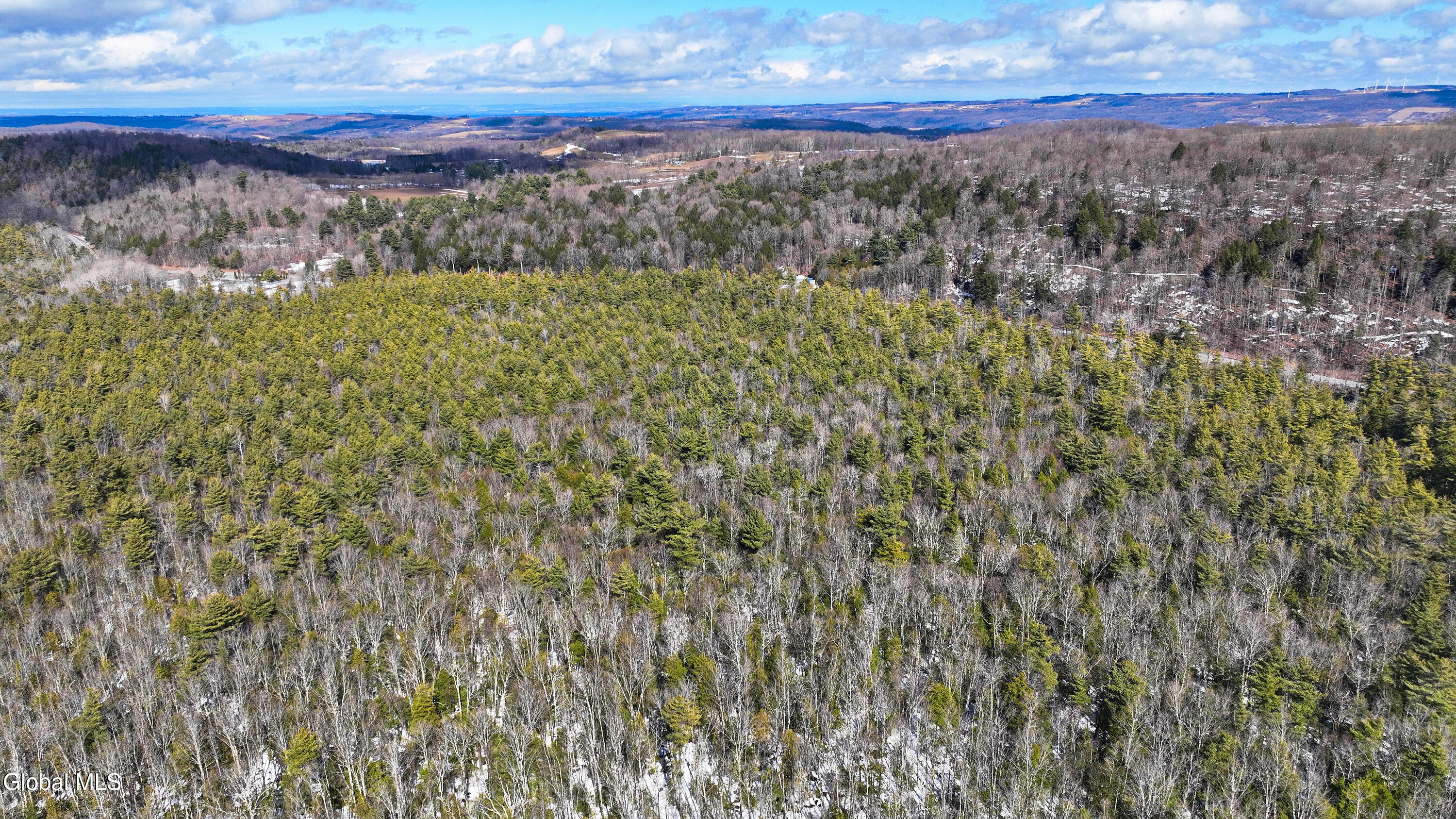 L2.5 Swamp Road Morrisville, NY 13408 - Photo 48 of 51 Swamp Rd Southern Parcel-9