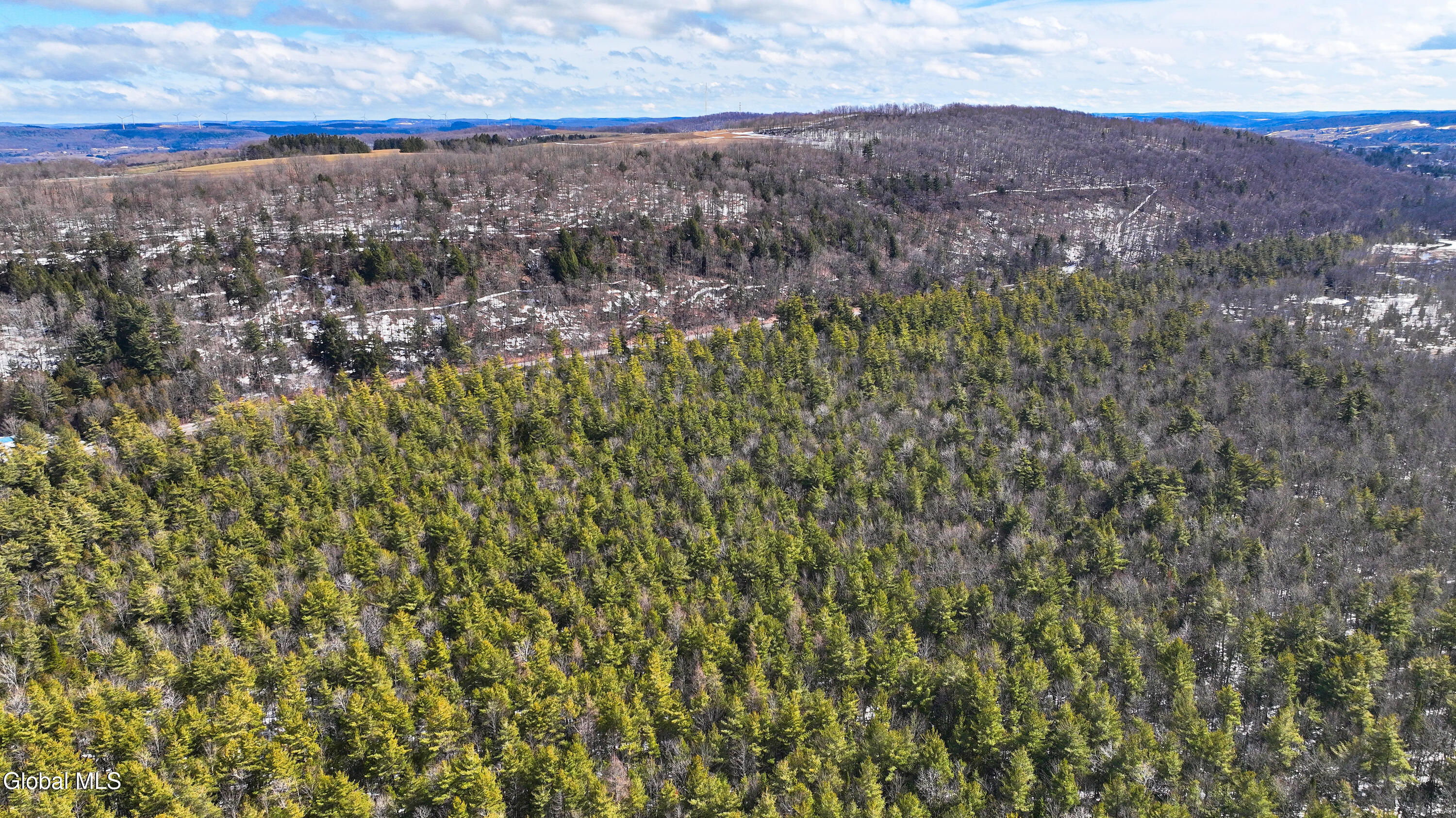 L2.5 Swamp Road Morrisville, NY 13408 - Photo 49 of 51 Swamp Rd Southern Parcel-8