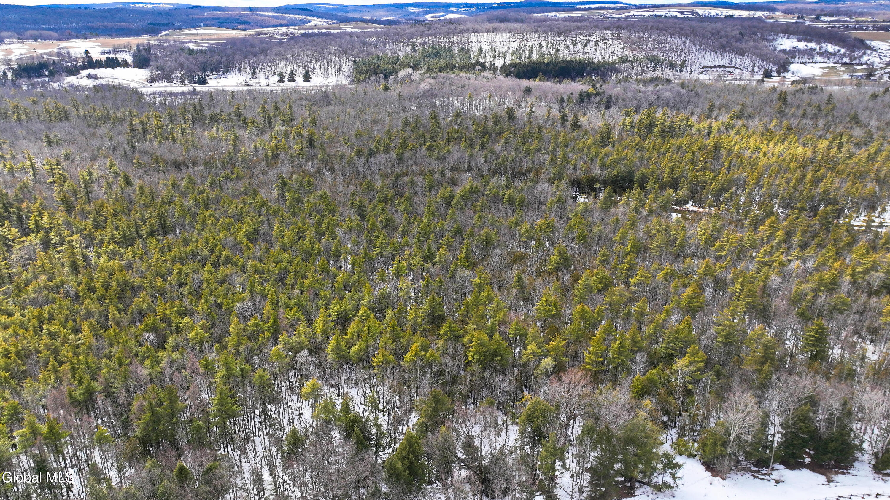 L2.5 Swamp Road Morrisville, NY 13408 - Photo 5 of 51 Swamp Rd Northern Parcel-28
