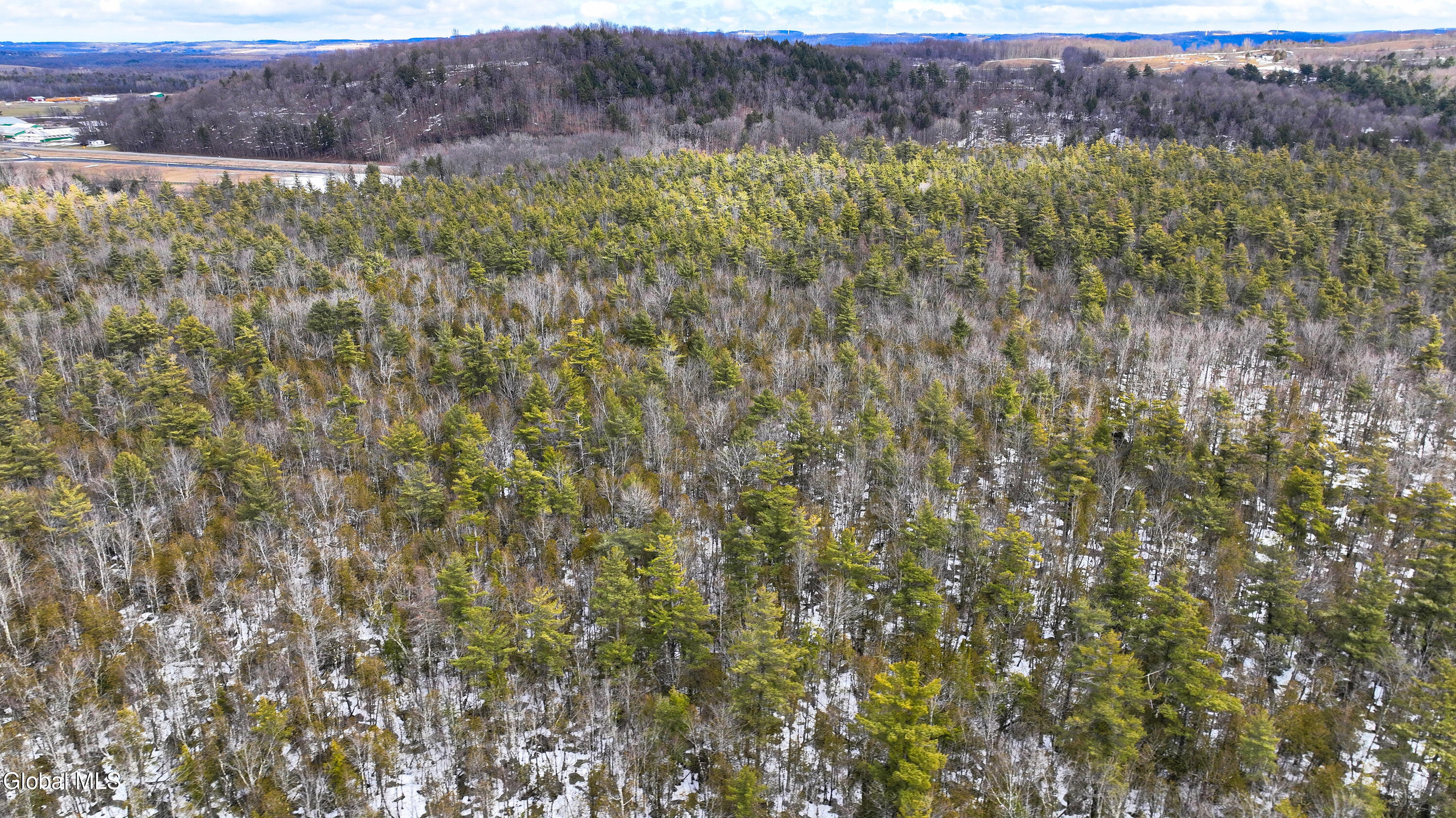 L2.5 Swamp Road Morrisville, NY 13408 - Photo 6 of 51 Swamp Rd Northern Parcel-26