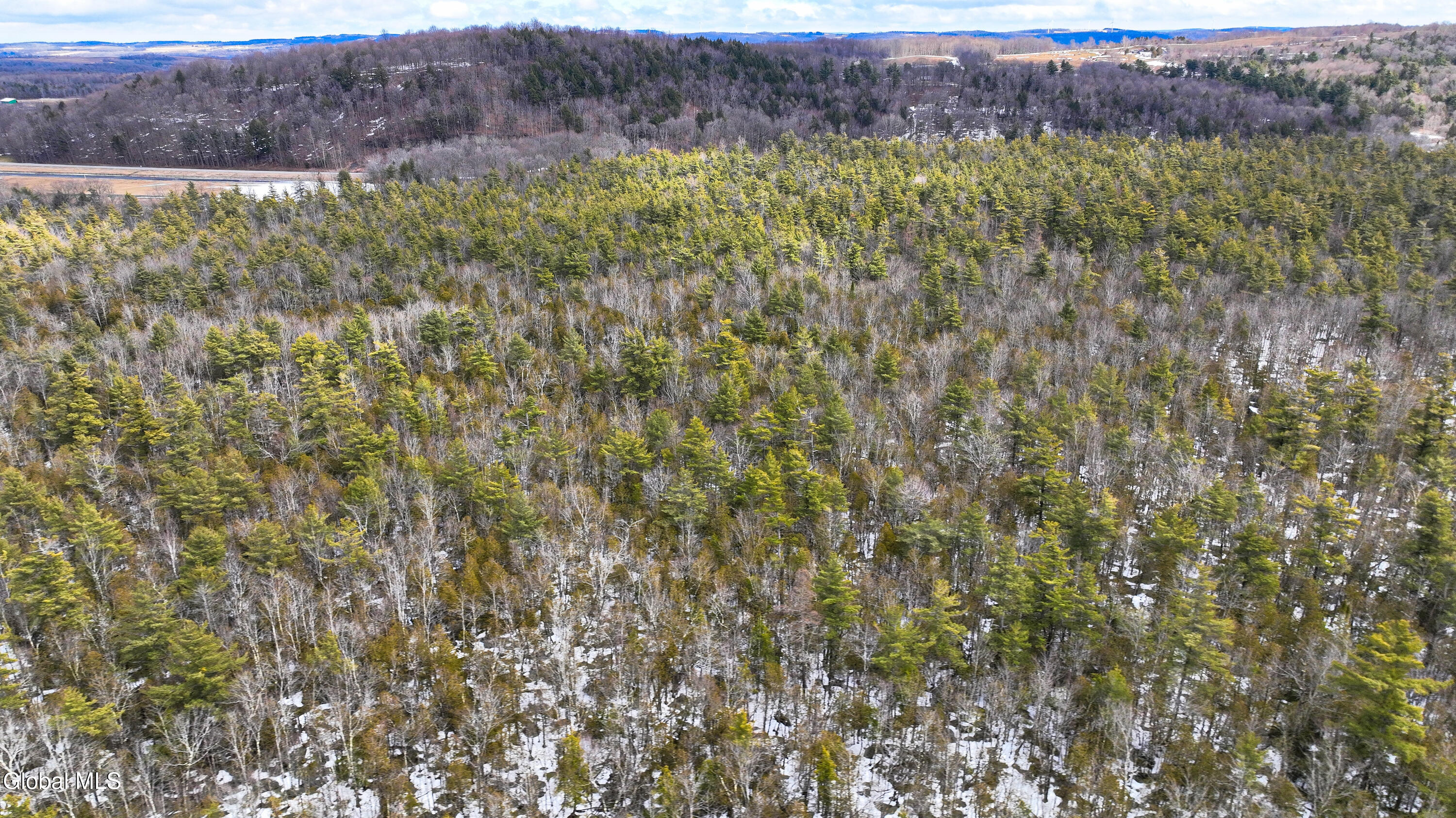 L2.5 Swamp Road Morrisville, NY 13408 - Photo 7 of 51 Swamp Rd Northern Parcel-25