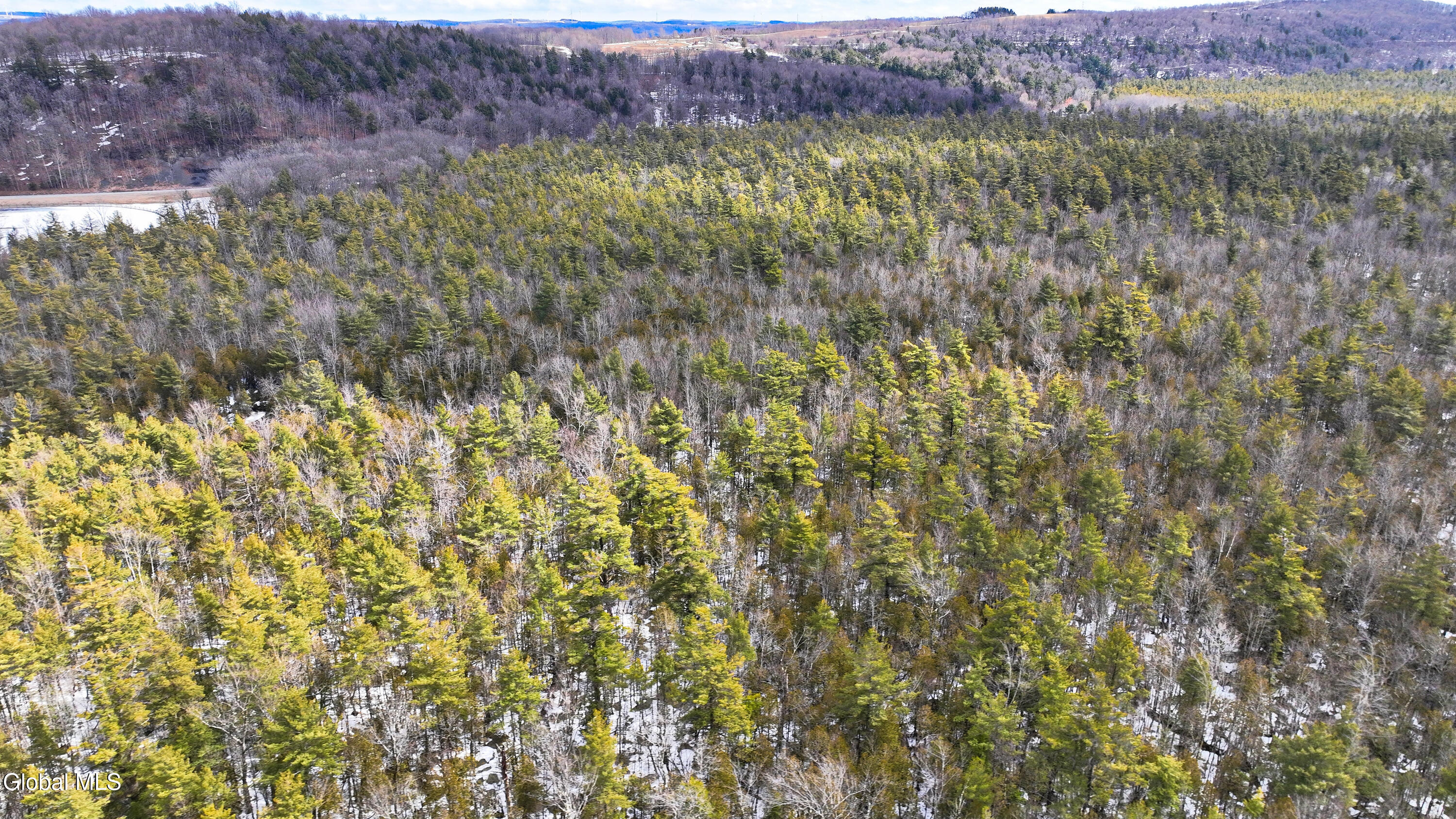 L2.5 Swamp Road Morrisville, NY 13408 - Photo 8 of 51 Swamp Rd Northern Parcel-24