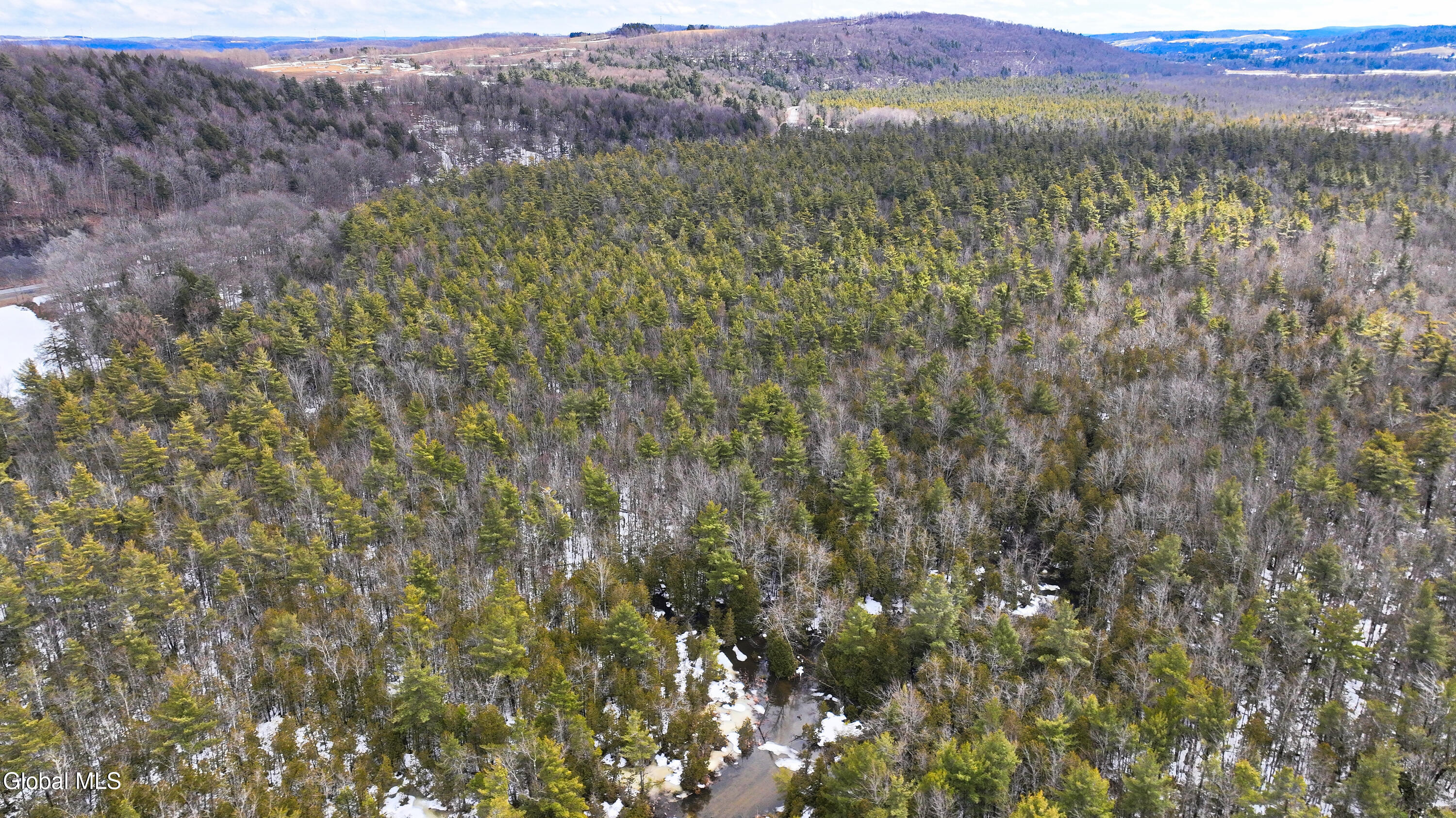 L2.5 Swamp Road Morrisville, NY 13408 - Photo 9 of 51 Swamp Rd Northern Parcel-23