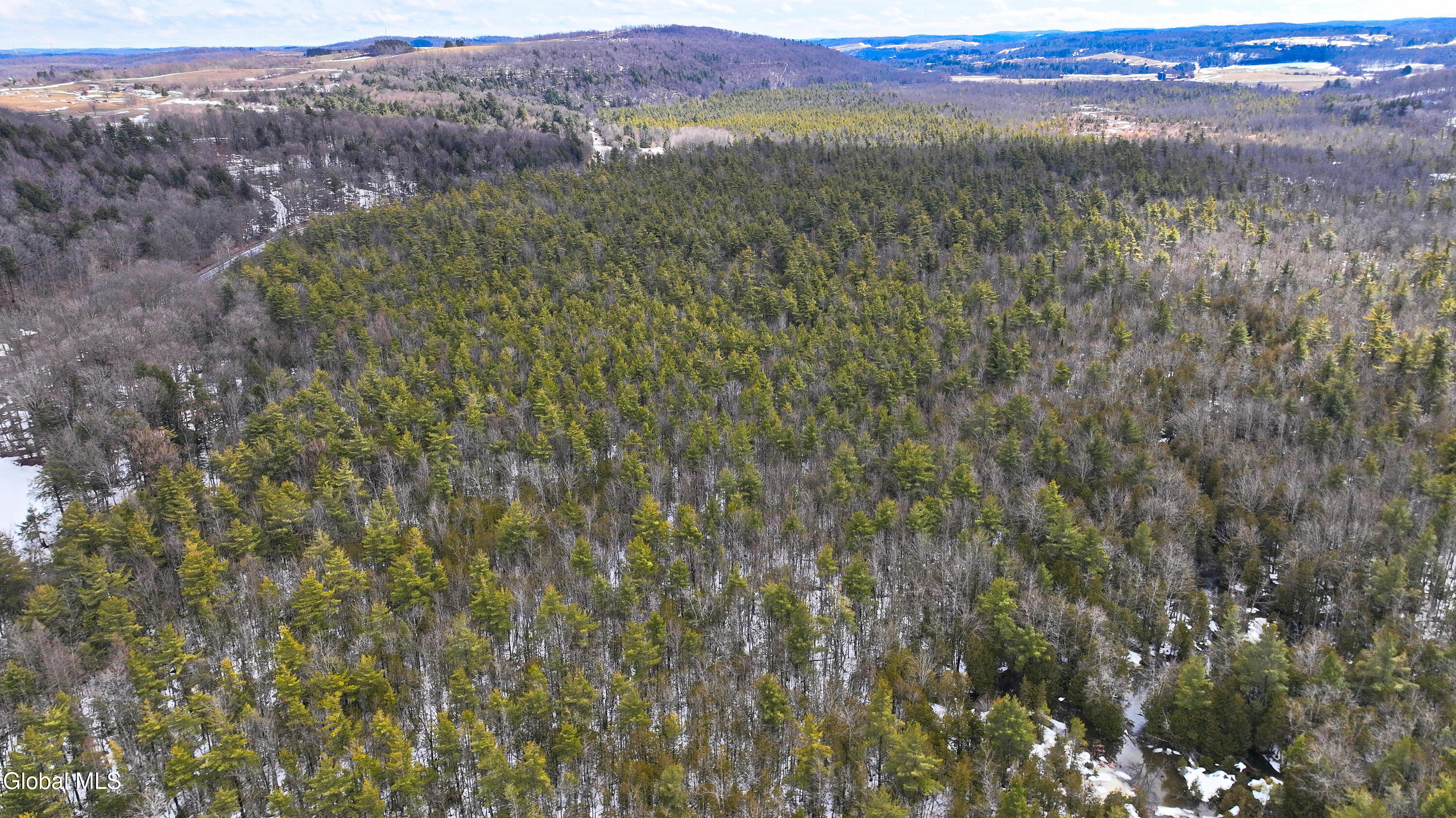 L2.5 Swamp Road Morrisville, NY 13408 - Photo 10 of 51 Swamp Rd Northern Parcel-22