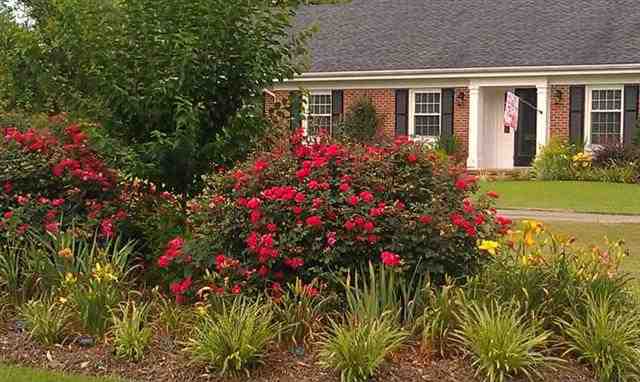 3215 Bryant Street Loris, SC 29569 - Photo 11 of 15 Gallery Image 11