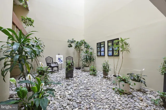 a potted plant sitting in front of a house
