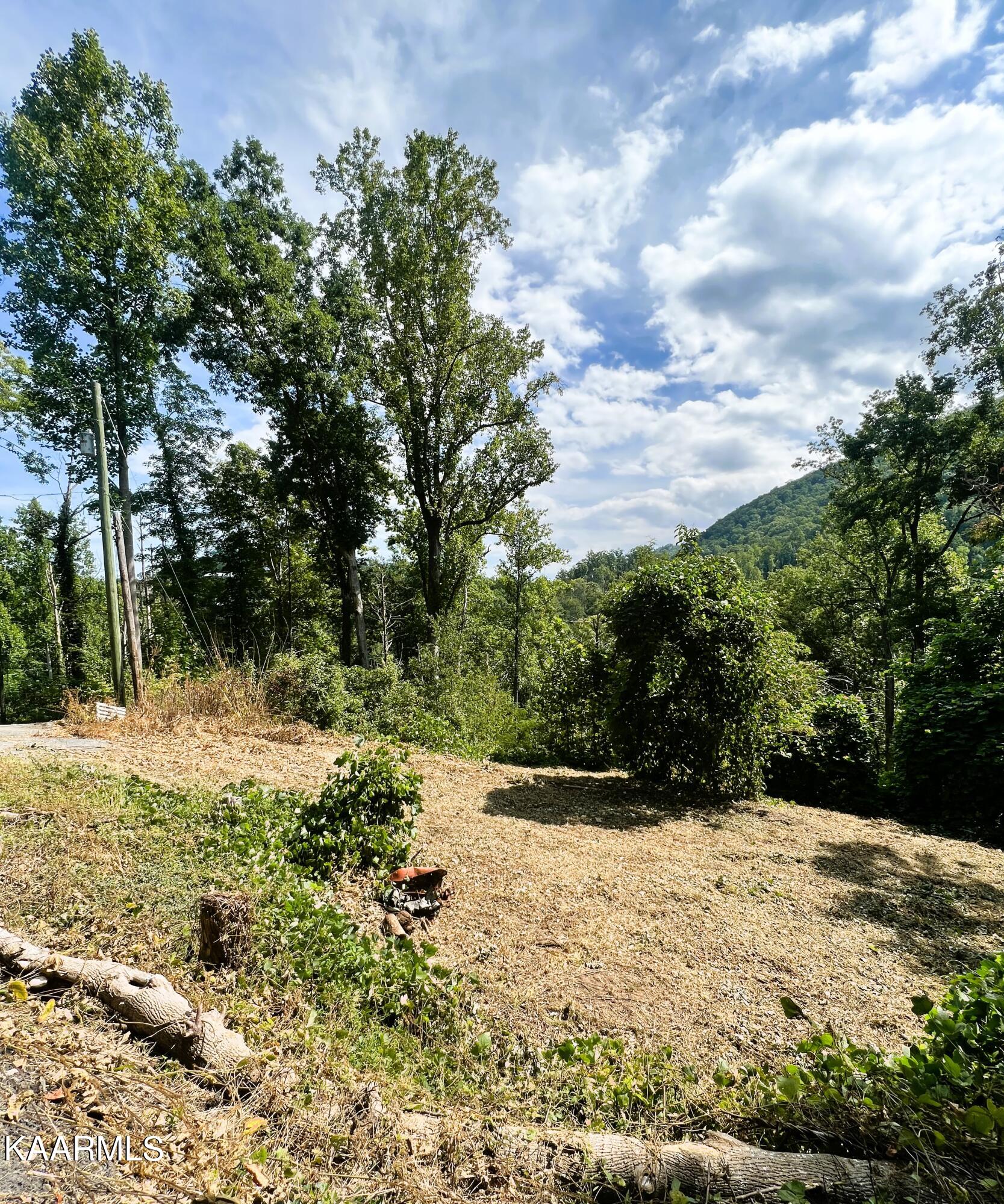 364 Loop Road Gatlinburg, TN 37738 - Photo 1 of 7 Main View