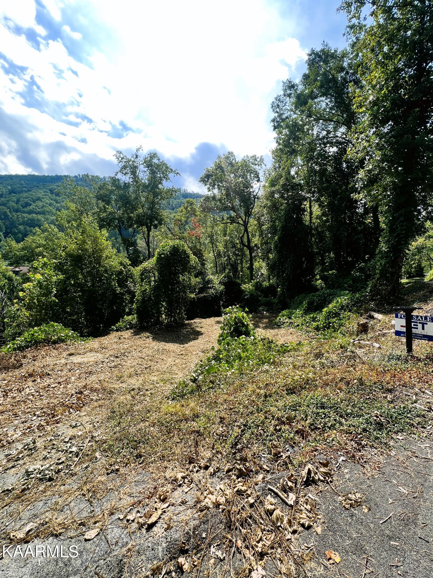 364 Loop Road Gatlinburg, TN 37738 - Photo 2 of 7 IMG_1533