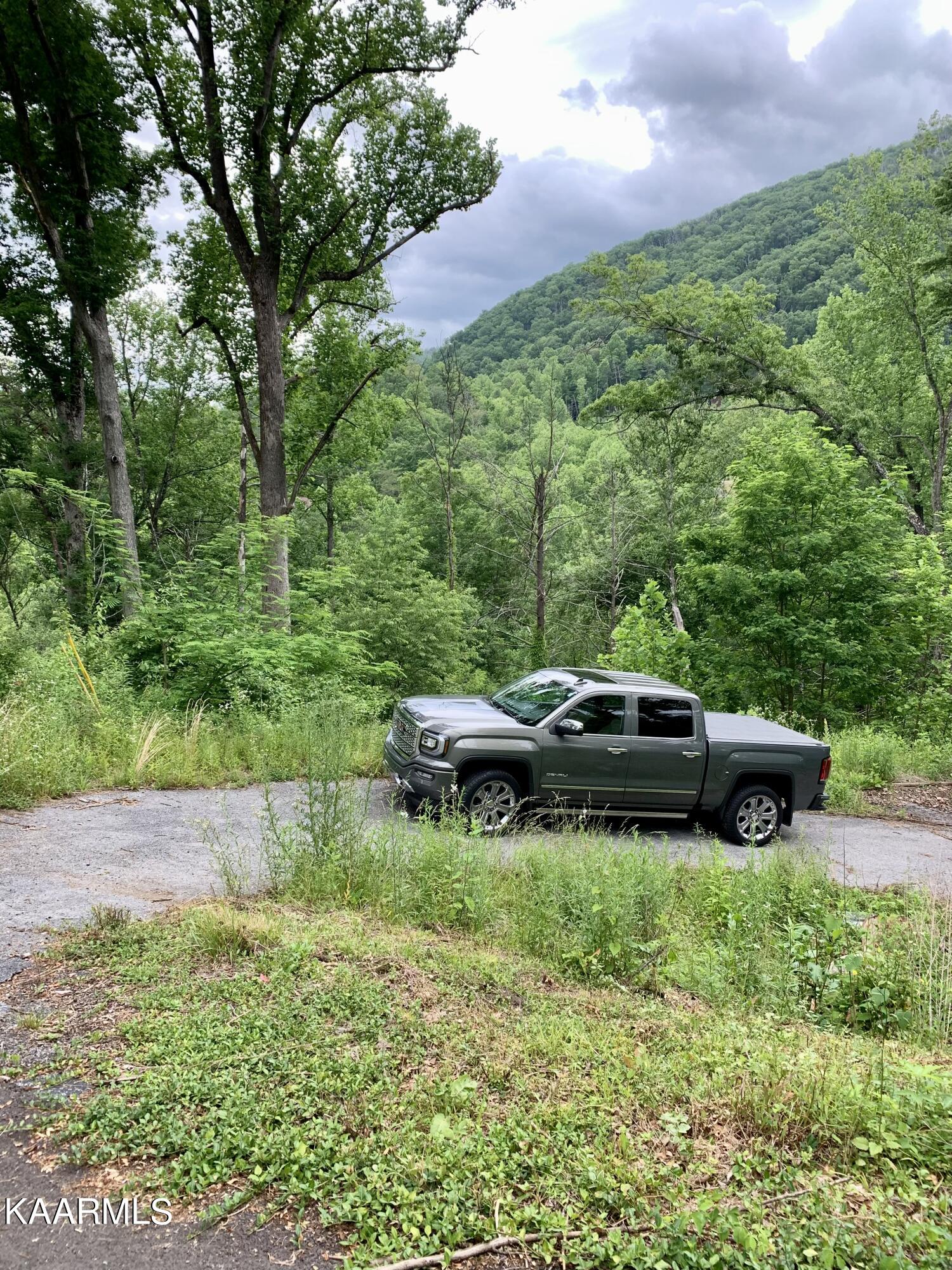 364 Loop Road Gatlinburg, TN 37738 - Photo 5 of 7 Driveway