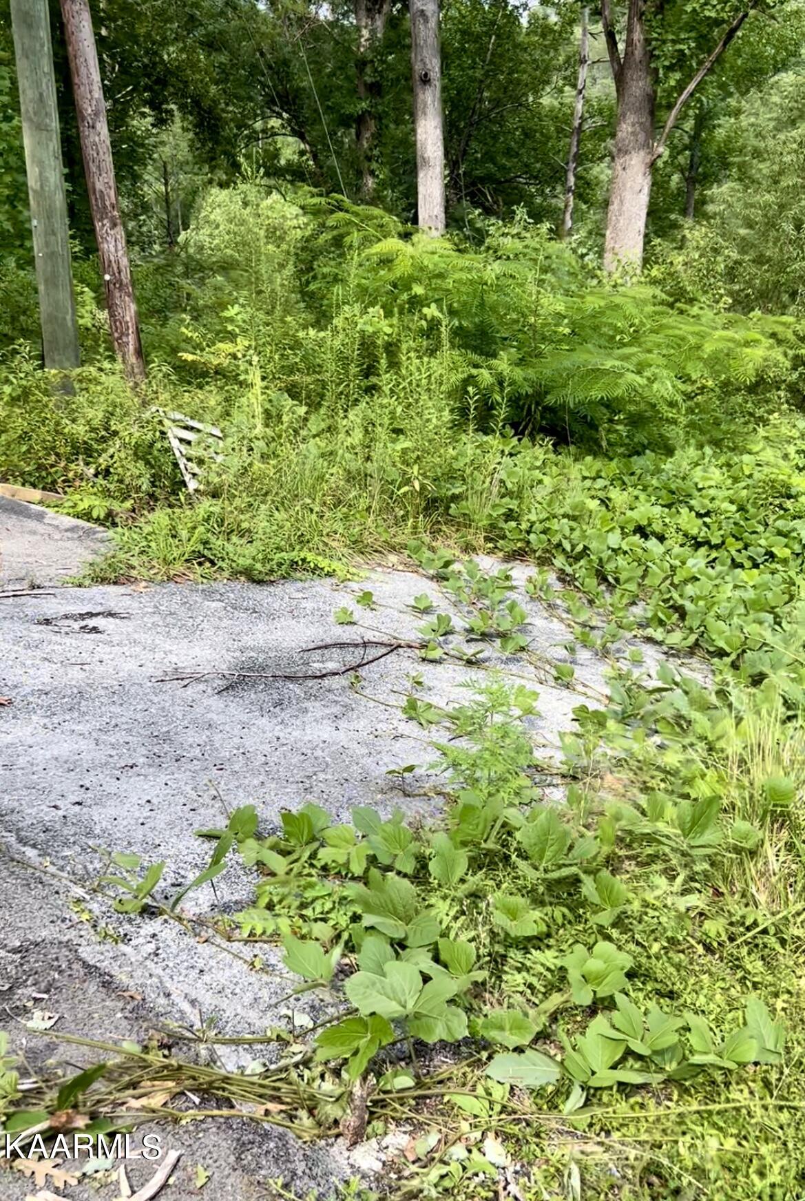 364 Loop Road Gatlinburg, TN 37738 - Photo 6 of 7 Driveway 2