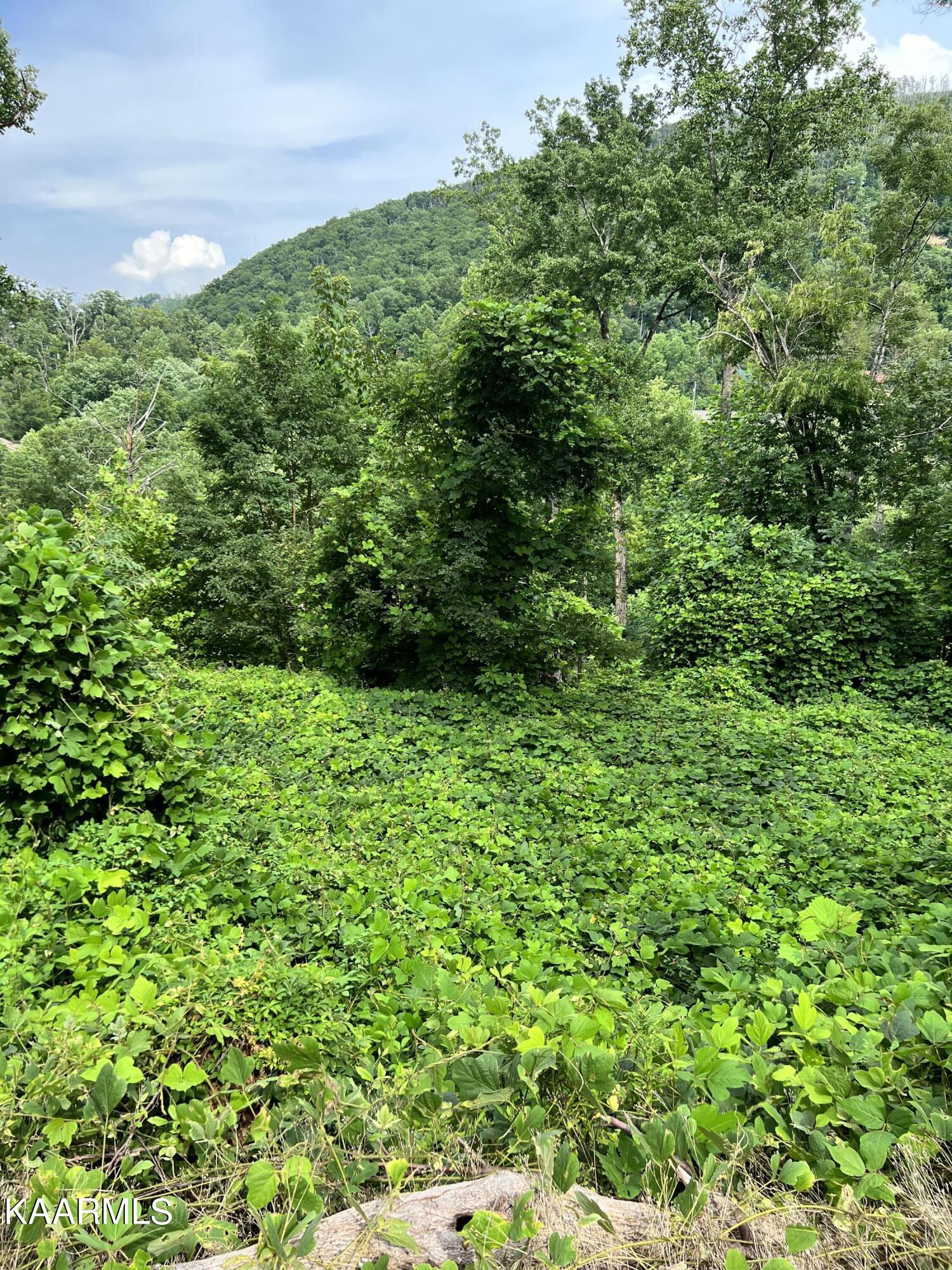 364 Loop Road Gatlinburg, TN 37738 - Photo 7 of 7 Main View