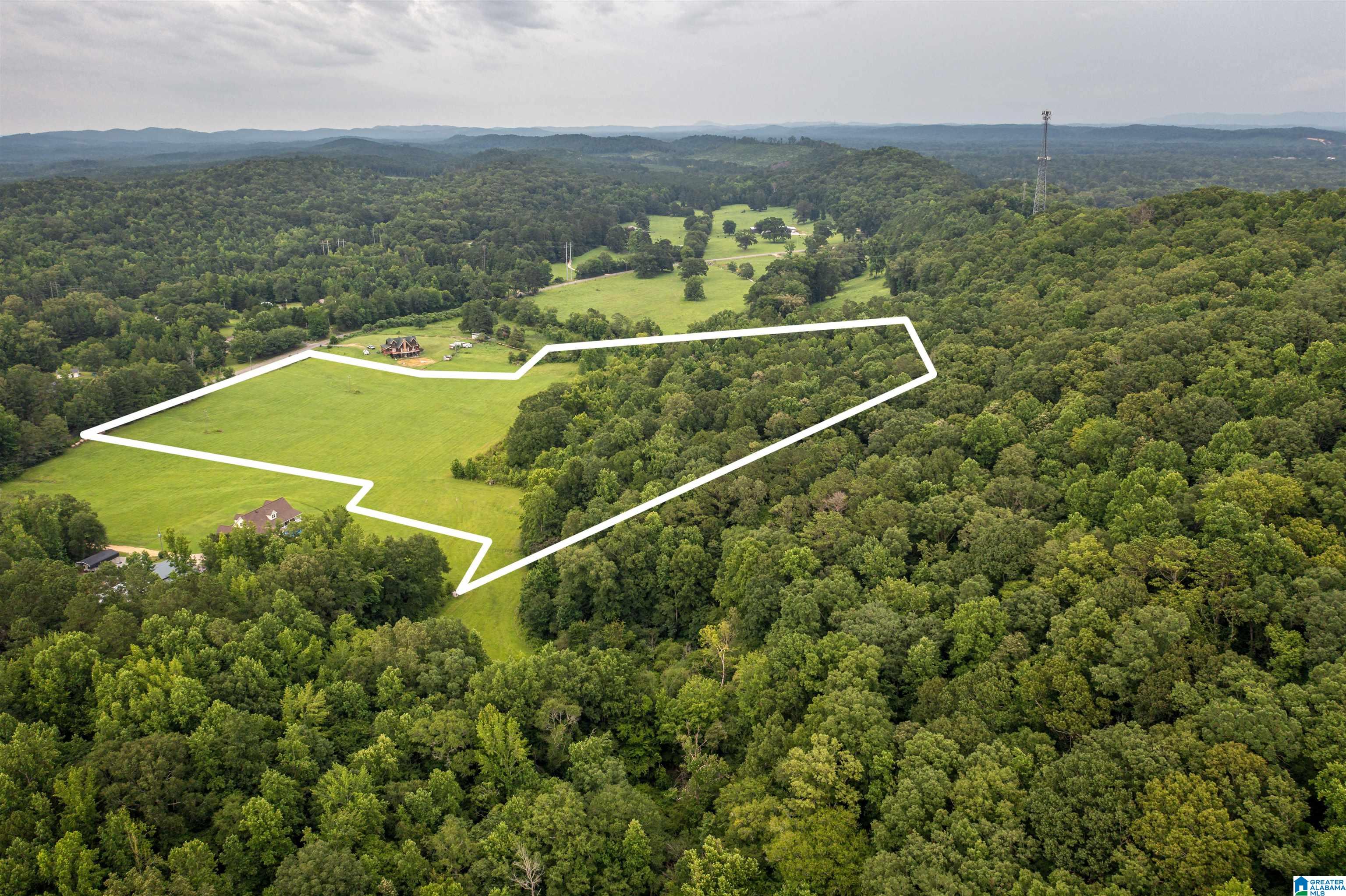15.35 Spring Road, Unit 15 35 Anniston, AL 36201 - Photo 3 of 18