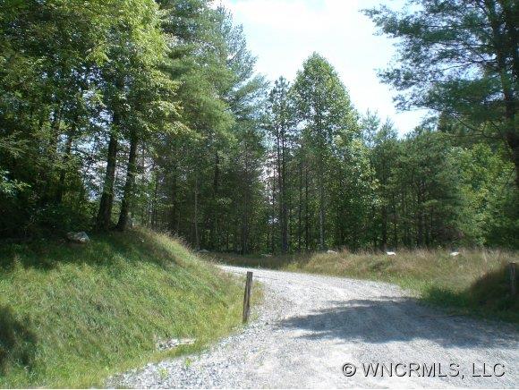 Off East Fork Road Brevard, NC 28712 - Photo 1 of 1 Gallery Image 1