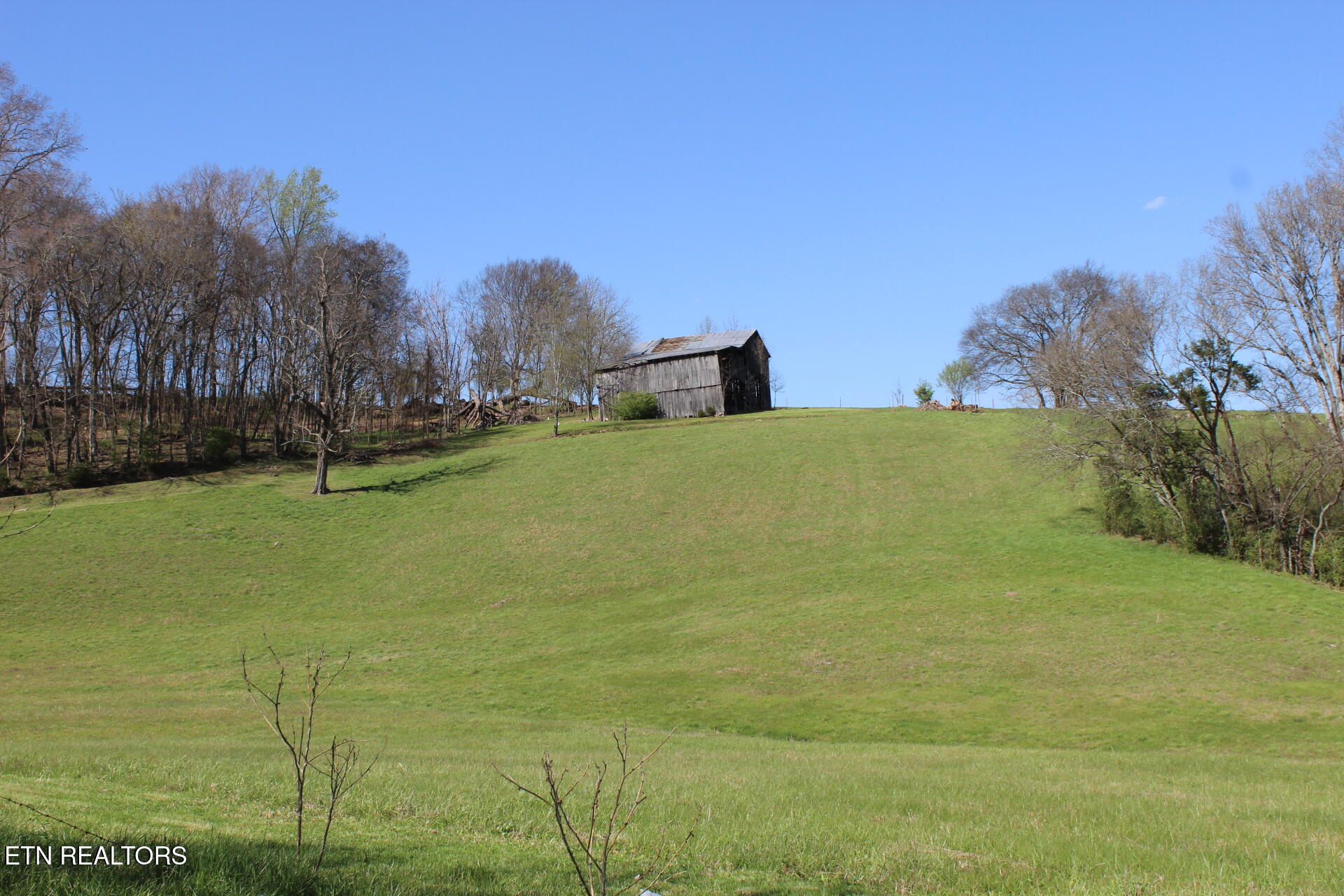 820 Calloway Road Rutledge, TN 37861 - Photo 1 of 27 IMG_4332