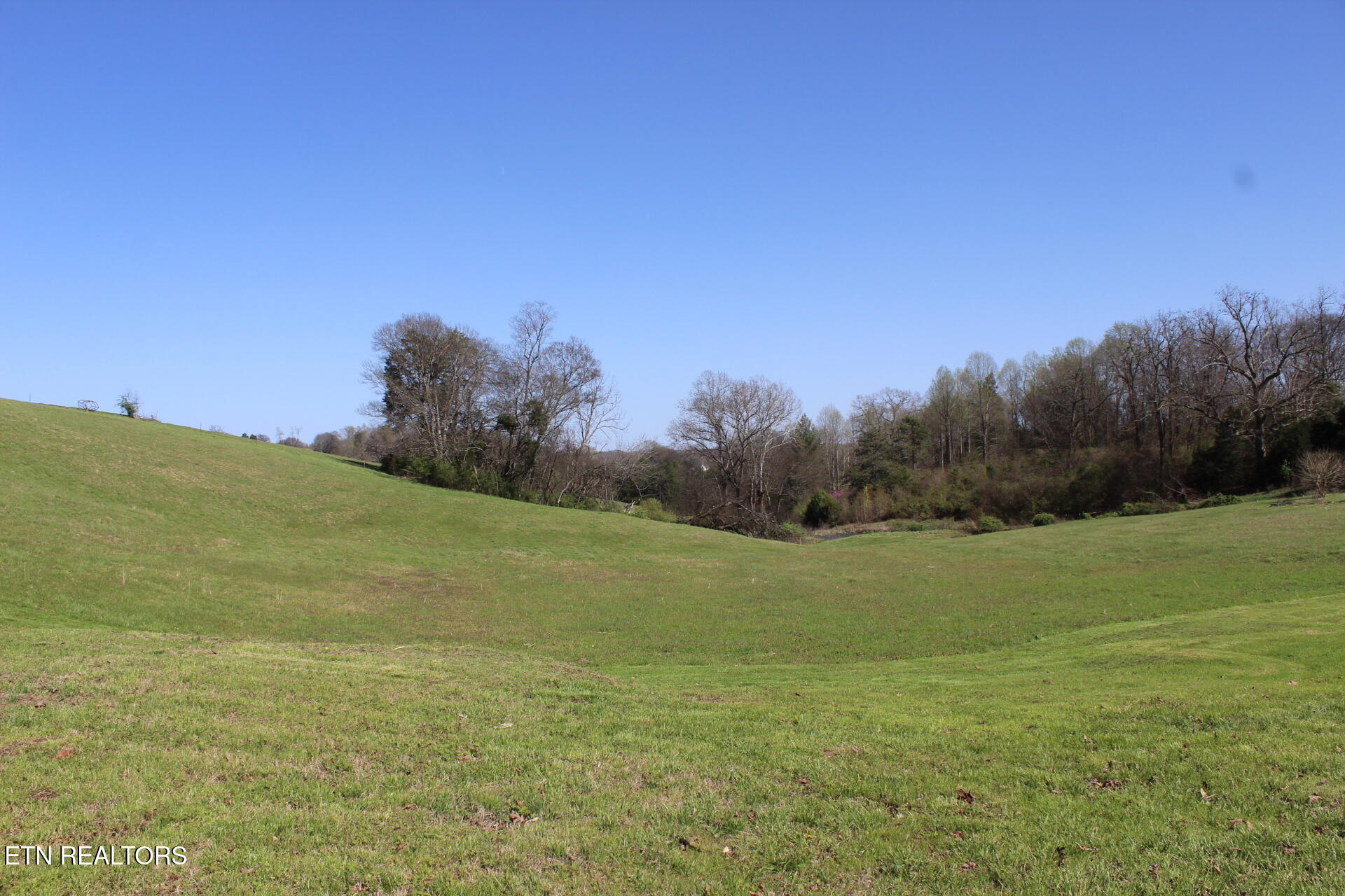 820 Calloway Road Rutledge, TN 37861 - Photo 11 of 27 IMG_4321