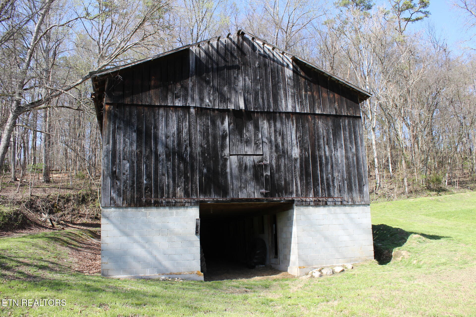 820 Calloway Road Rutledge, TN 37861 - Photo 12 of 27 IMG_4319