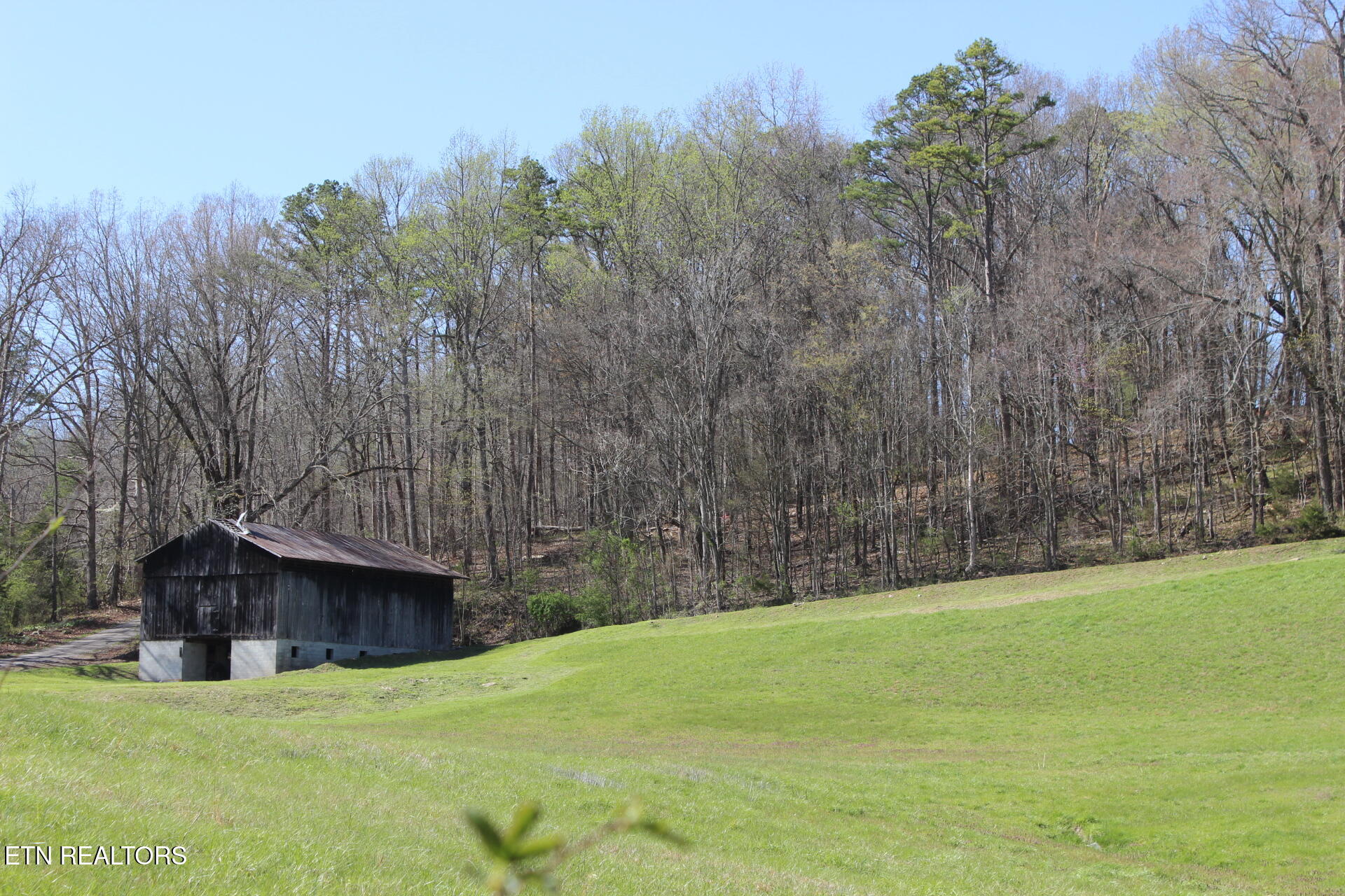 820 Calloway Road Rutledge, TN 37861 - Photo 2 of 27 IMG_4334