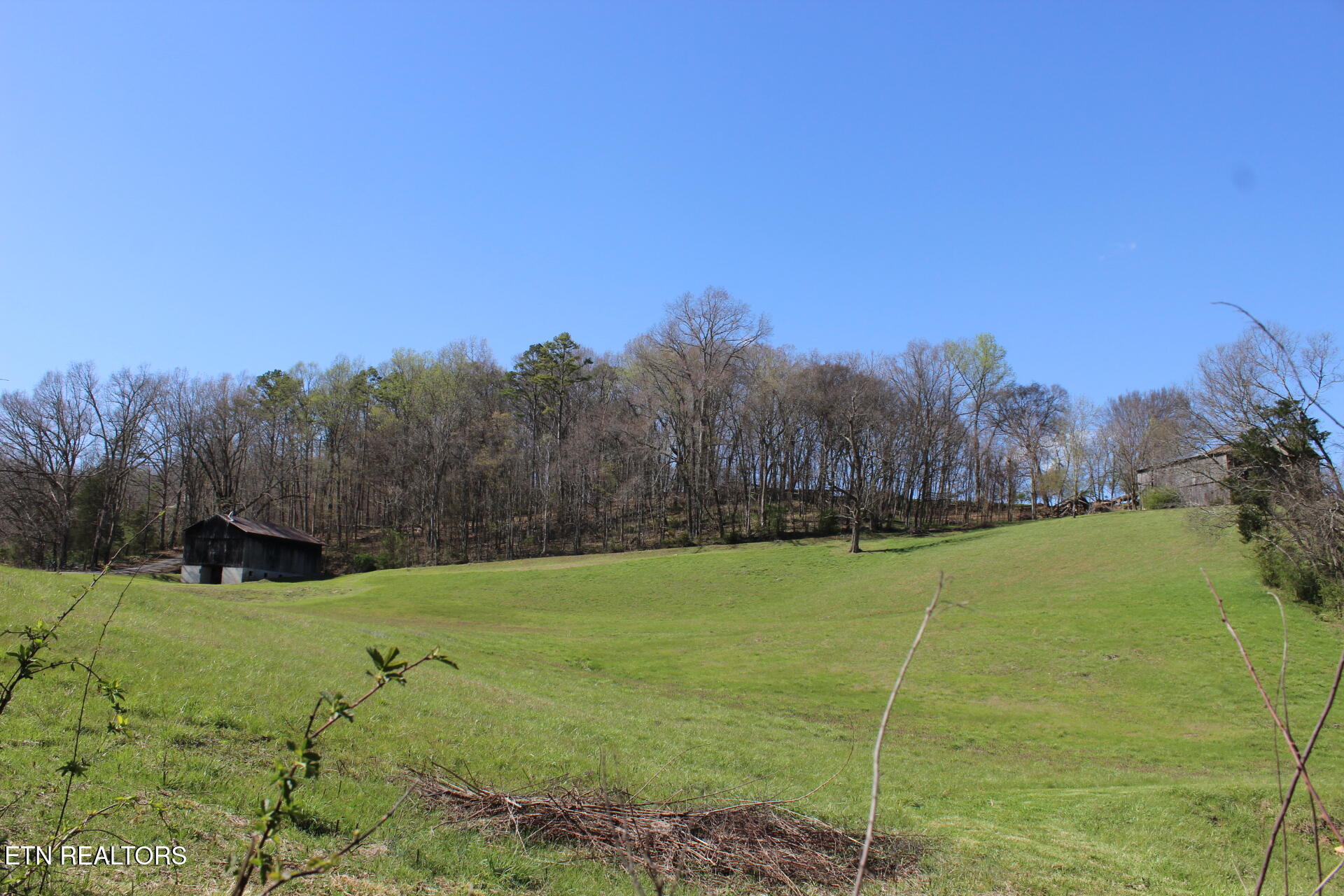 820 Calloway Road Rutledge, TN 37861 - Photo 21 of 27 IMG_4335