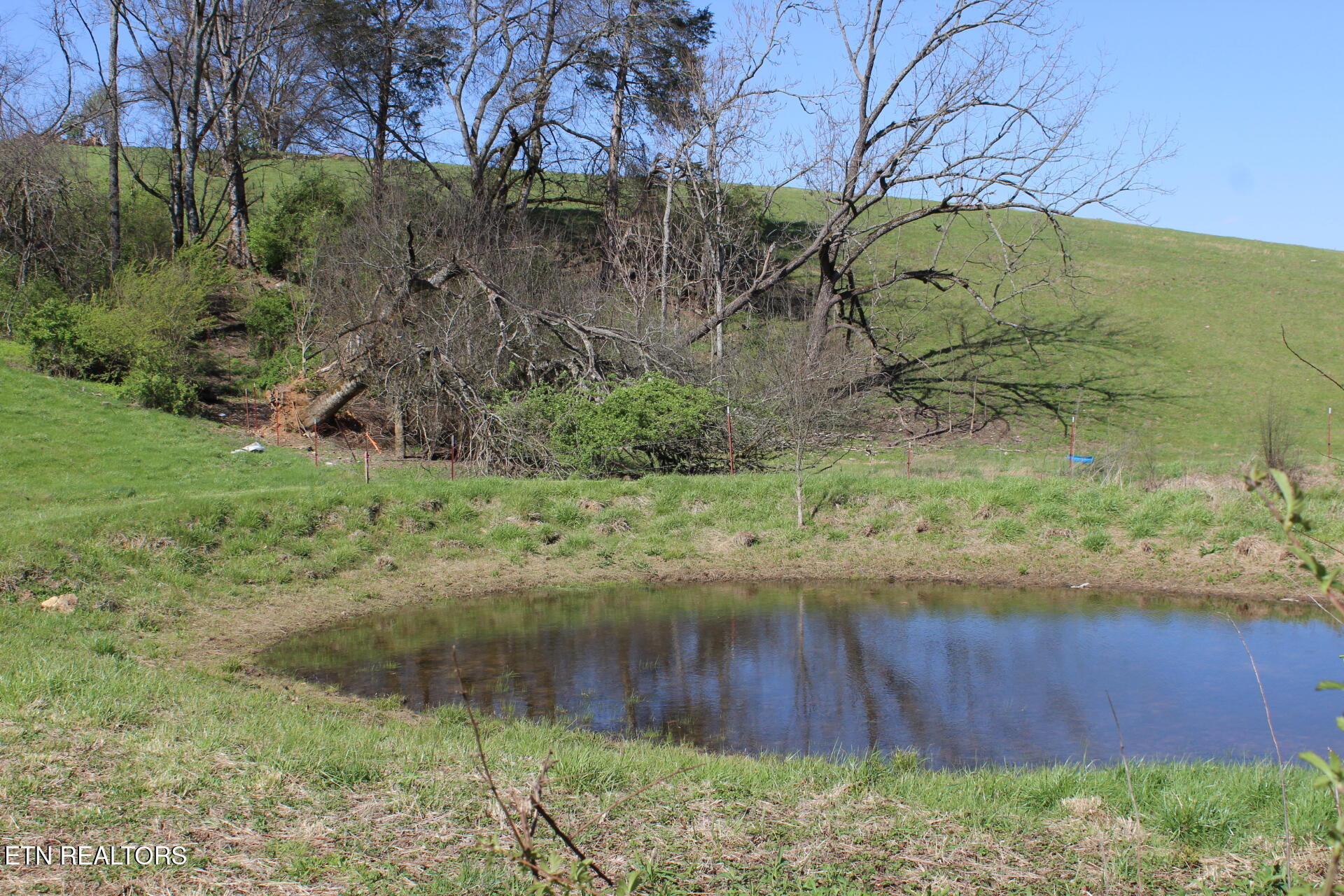 820 Calloway Road Rutledge, TN 37861 - Photo 22 of 27 IMG_4333