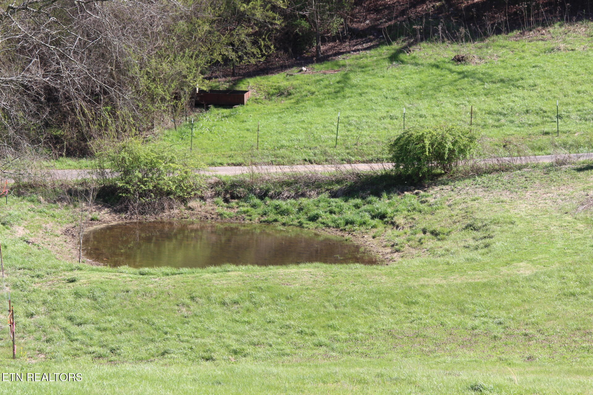 820 Calloway Road Rutledge, TN 37861 - Photo 23 of 27 IMG_4360