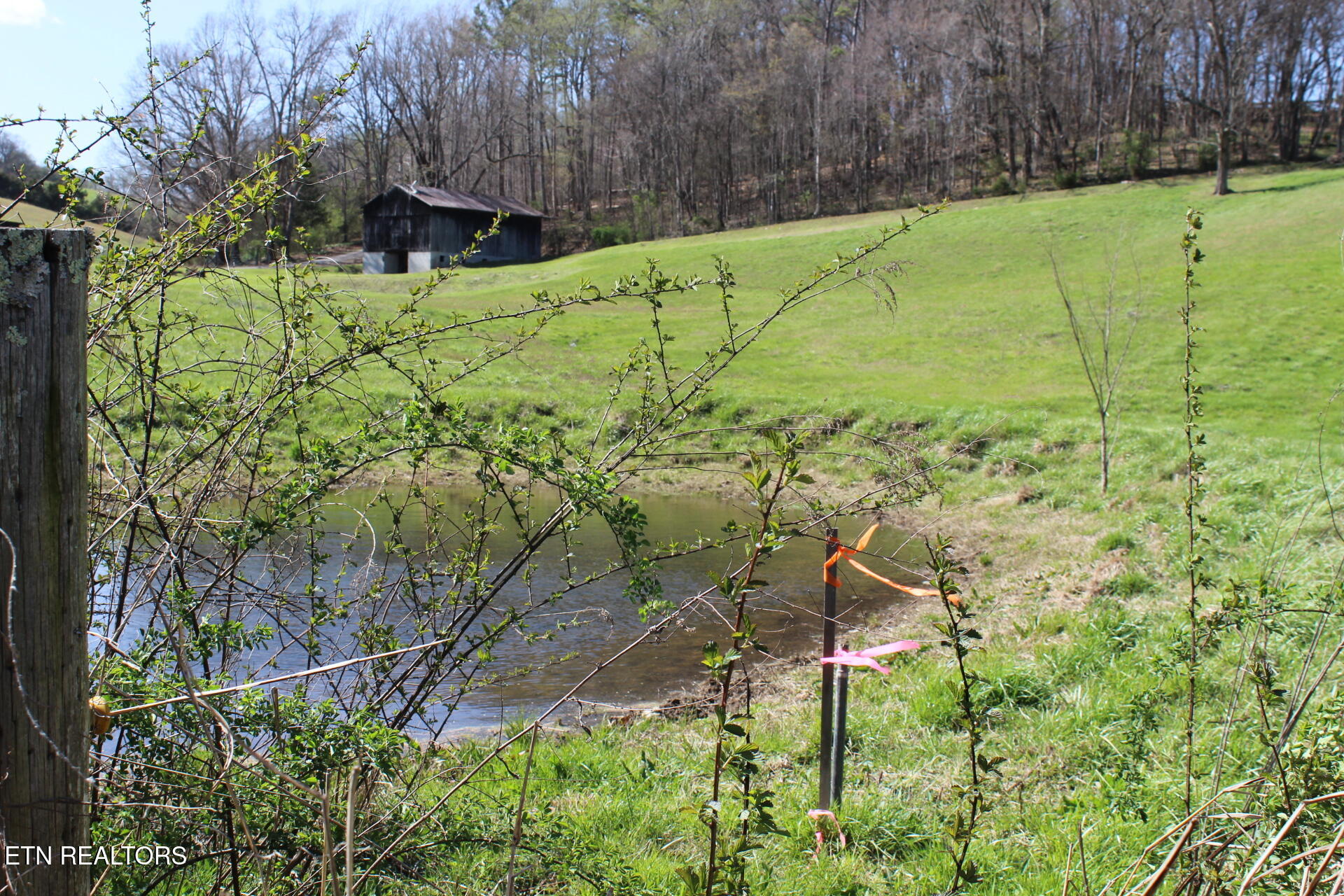 820 Calloway Road Rutledge, TN 37861 - Photo 24 of 27 IMG_4336