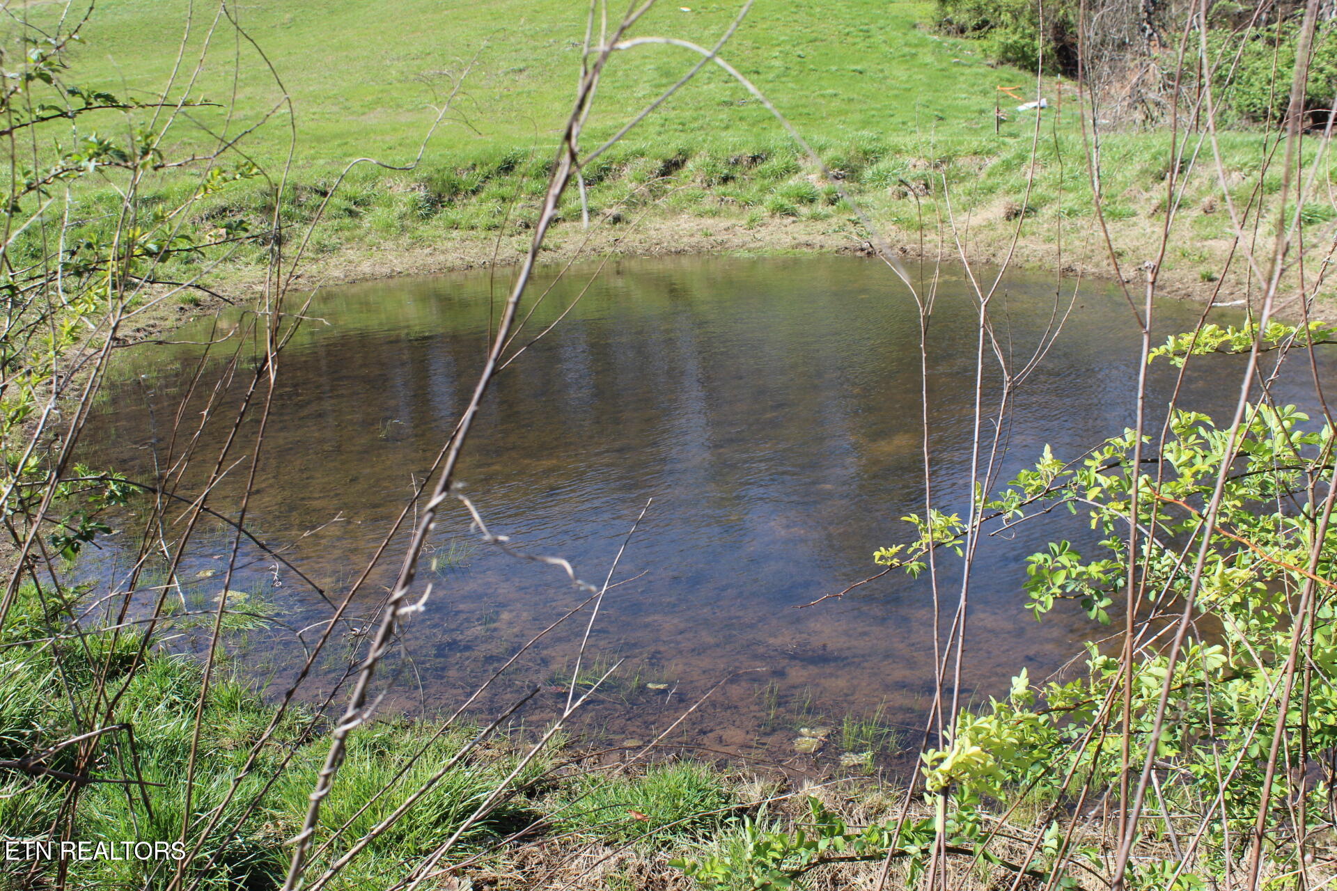 820 Calloway Road Rutledge, TN 37861 - Photo 25 of 27 IMG_4337