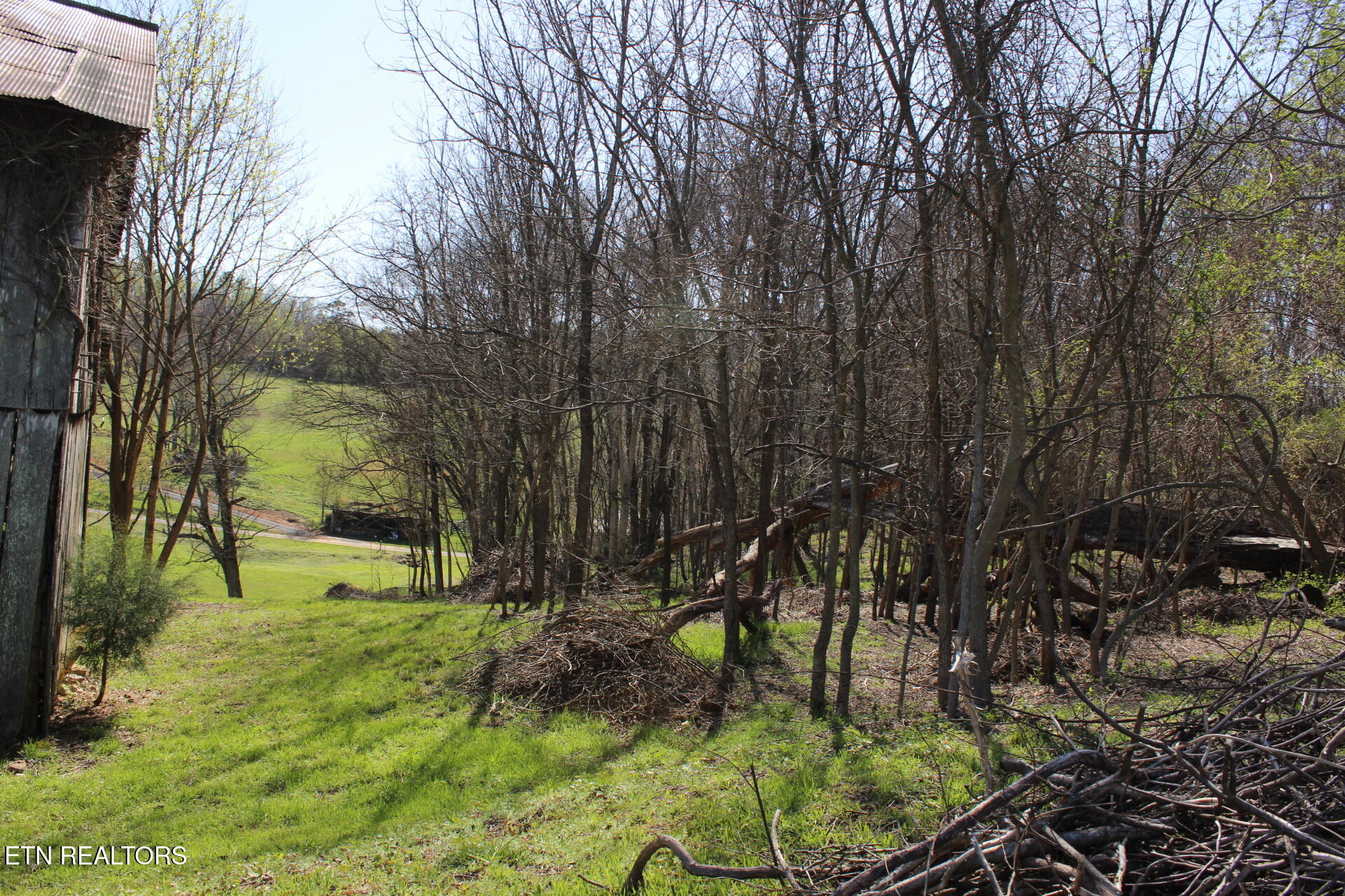 820 Calloway Road Rutledge, TN 37861 - Photo 26 of 27 IMG_4338