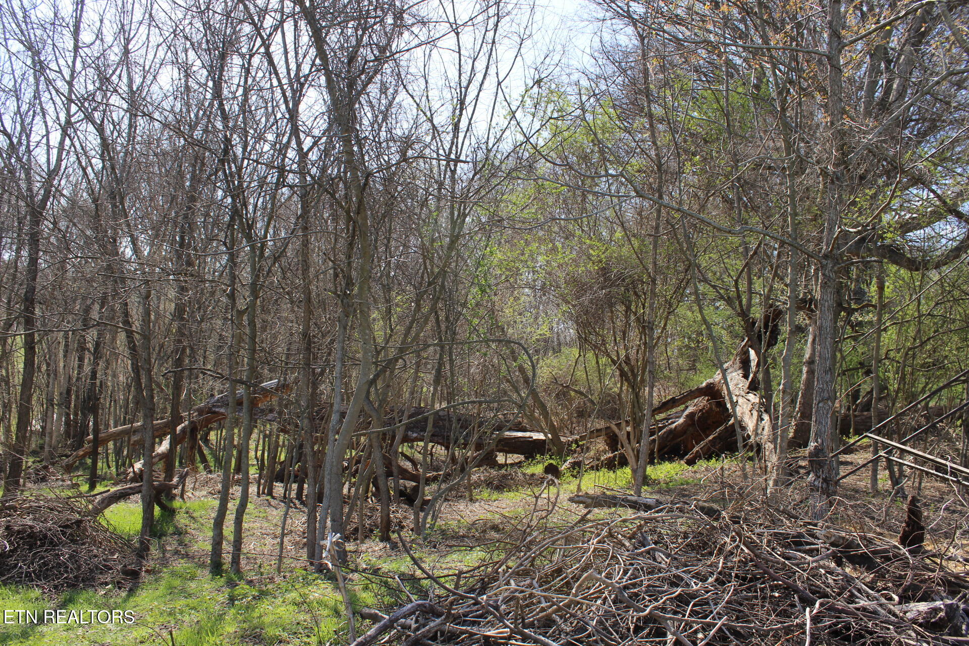 820 Calloway Road Rutledge, TN 37861 - Photo 27 of 27 IMG_4339