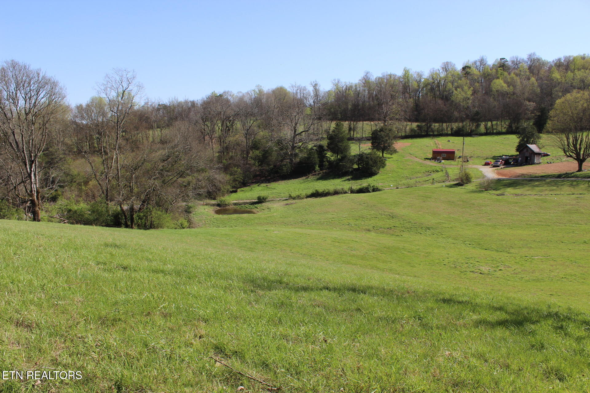 820 Calloway Road Rutledge, TN 37861 - Photo 5 of 27 IMG_4356