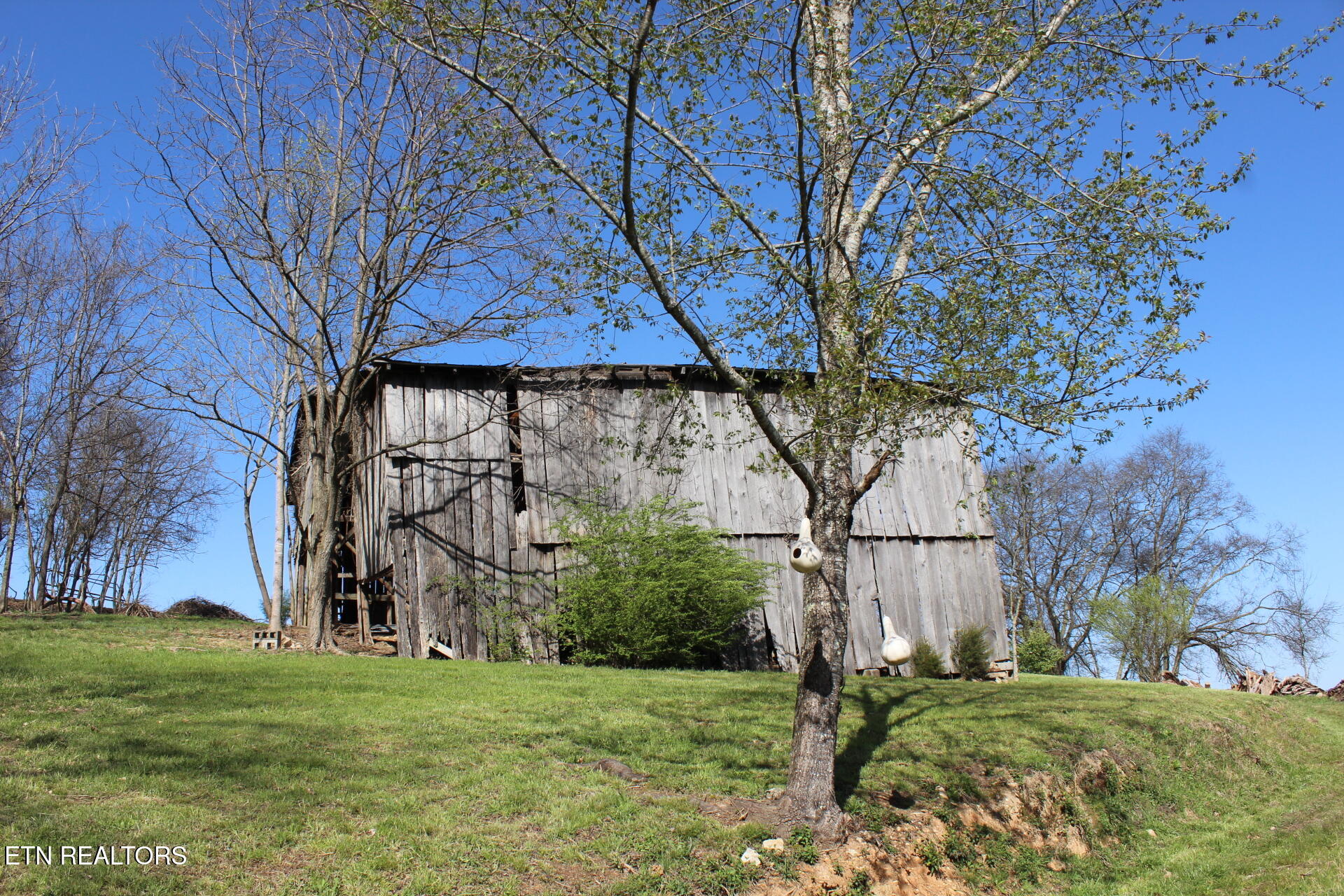 820 Calloway Road Rutledge, TN 37861 - Photo 6 of 27 IMG_4357