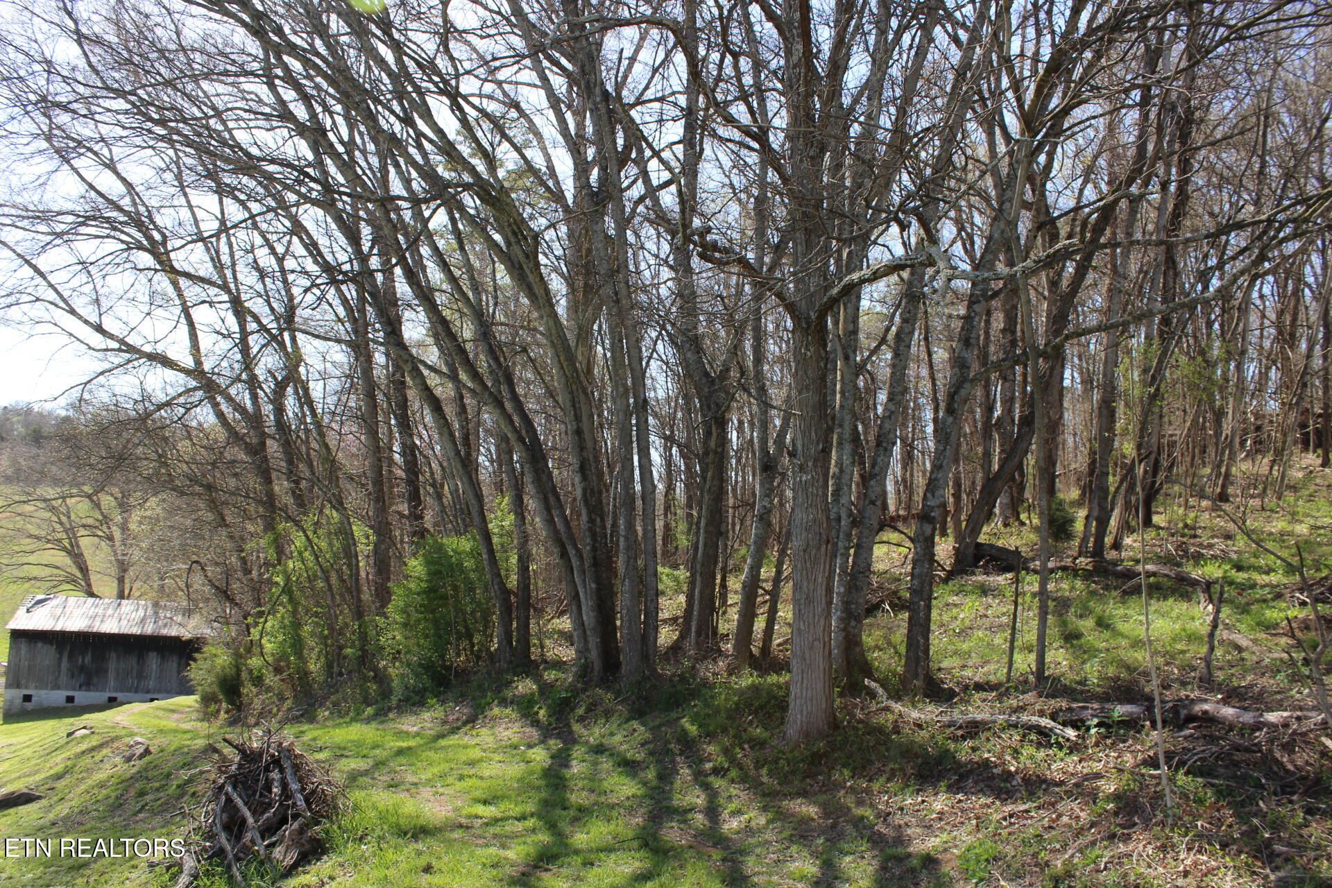 820 Calloway Road Rutledge, TN 37861 - Photo 8 of 27 IMG_4359